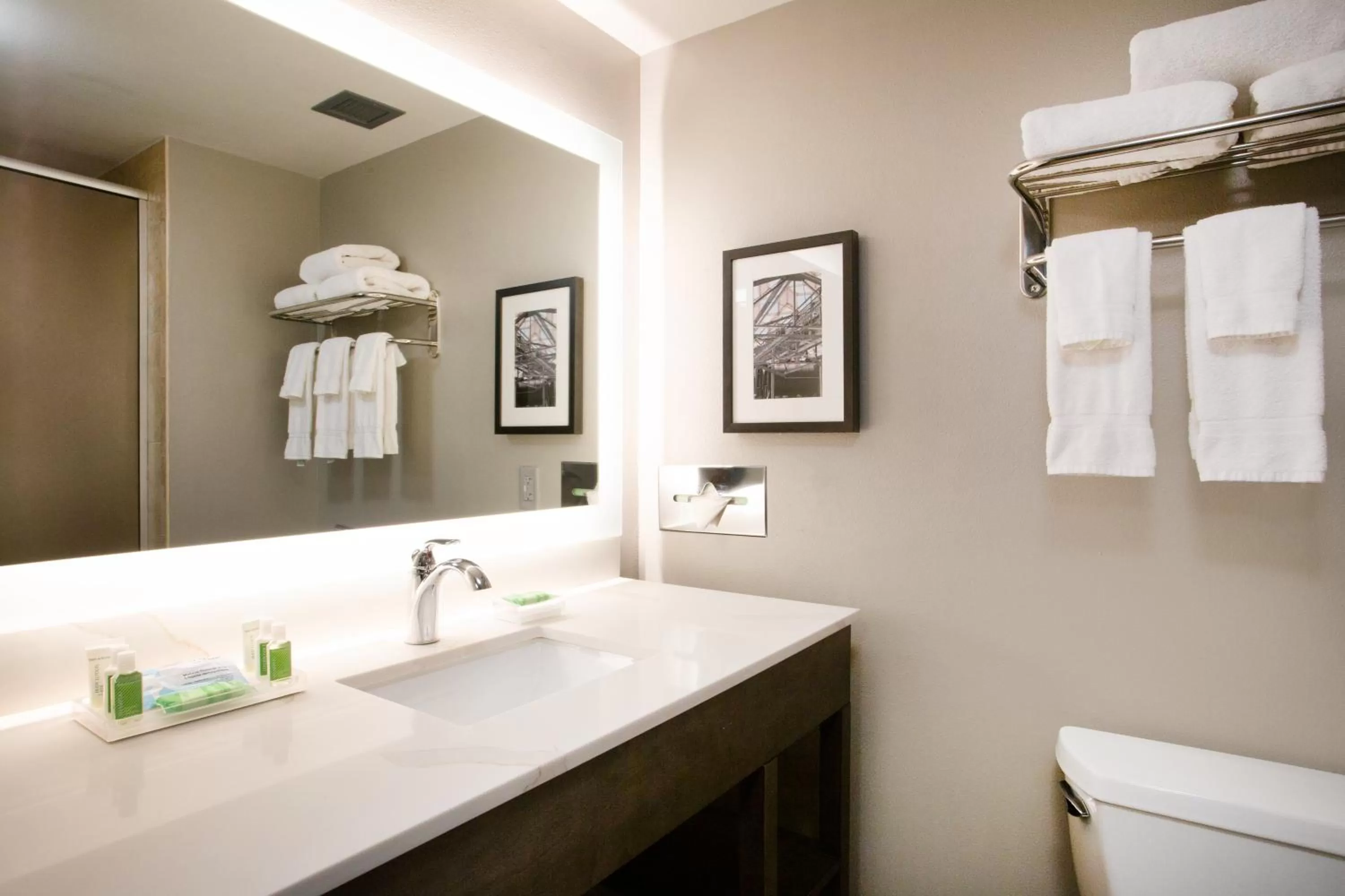 Bathroom in Holiday Inn Valdosta Conference Center by IHG