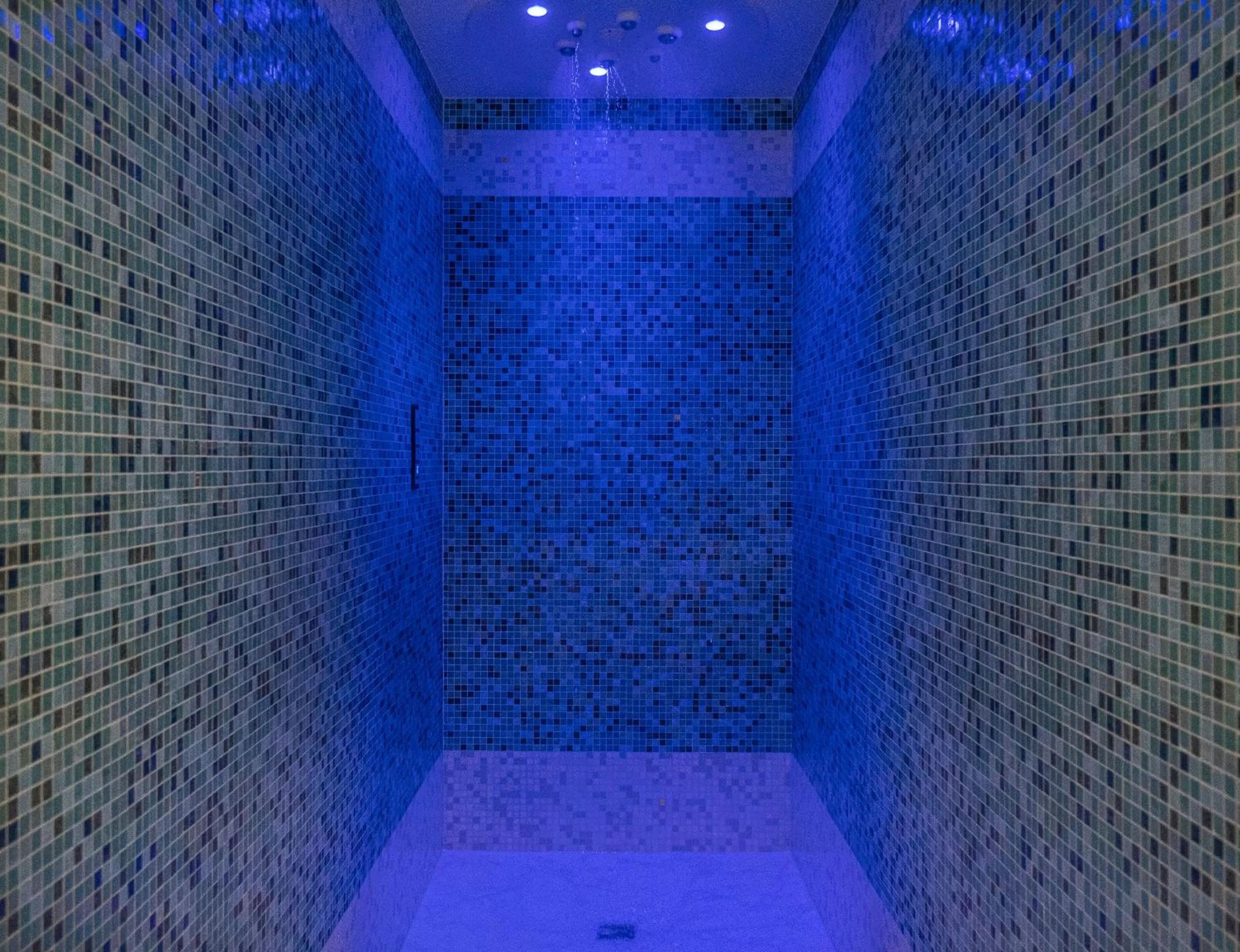 Shower in L'Orangerie du Château des Reynats