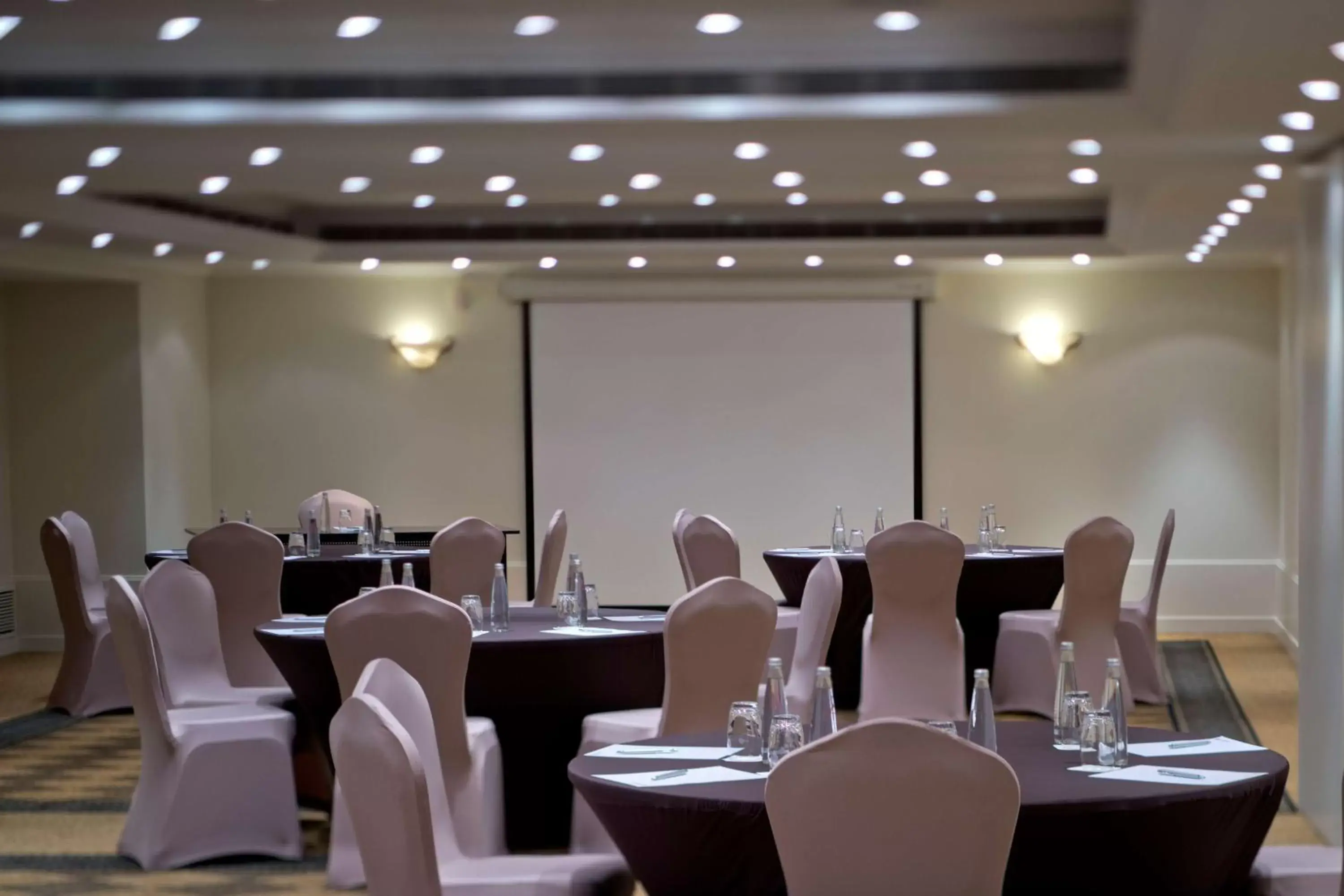 Meeting/conference room, Banquet Facilities in Radisson Blu Martinez Beirut