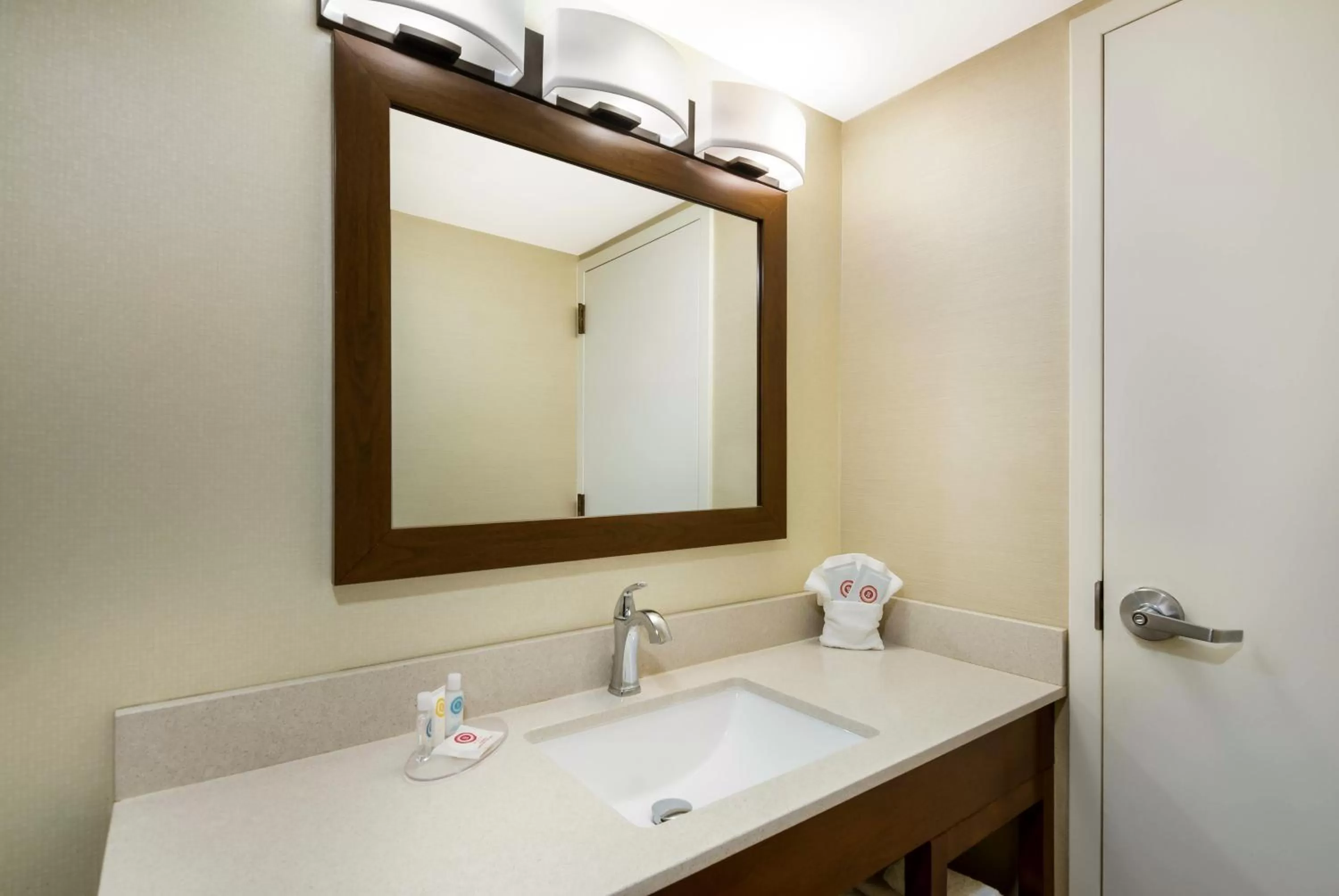 Bathroom in Comfort Inn Lexington Virginia Horse Center