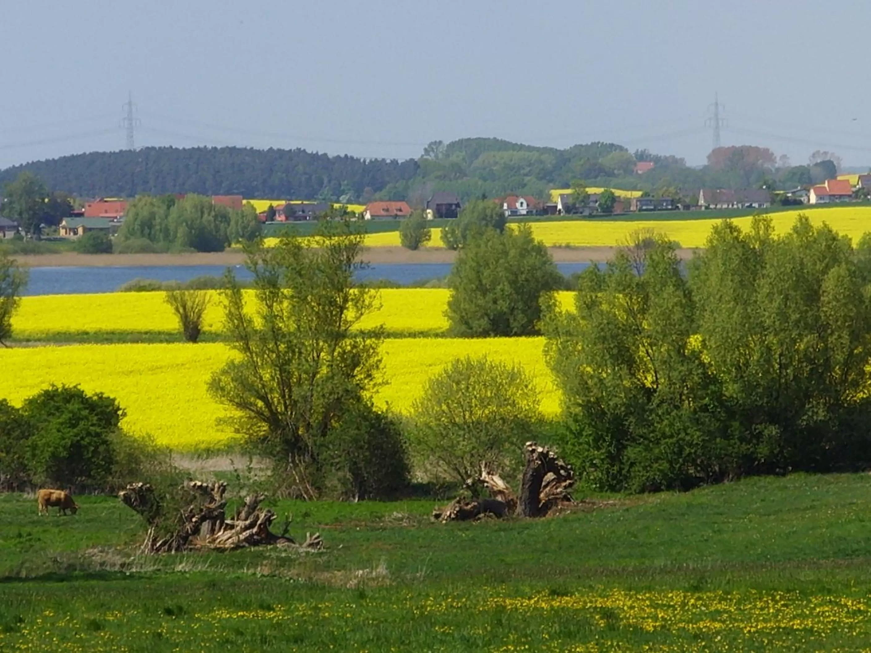 Area and facilities in Van der Valk Landhotel Spornitz