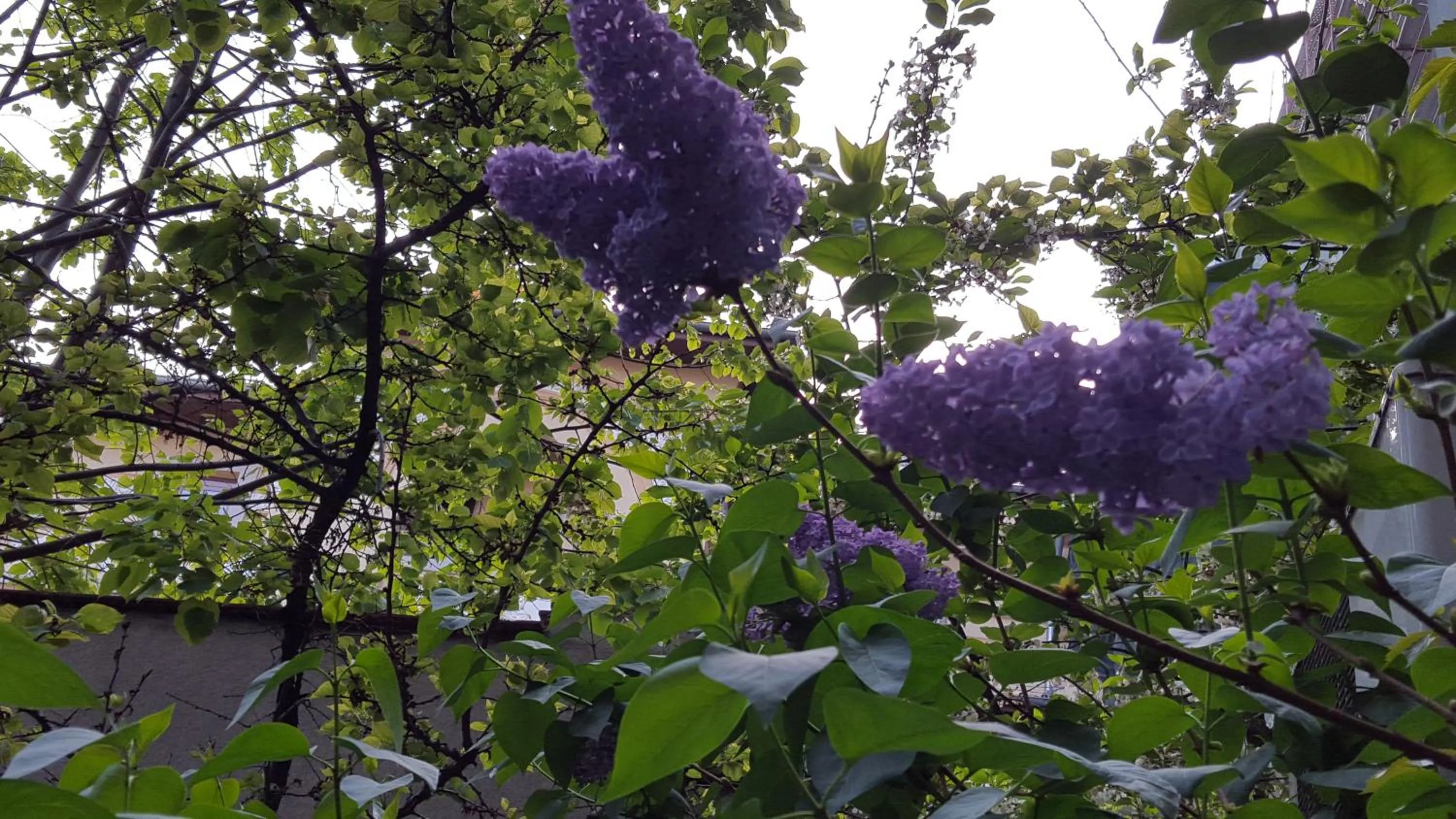 Garden in Unique Boutique