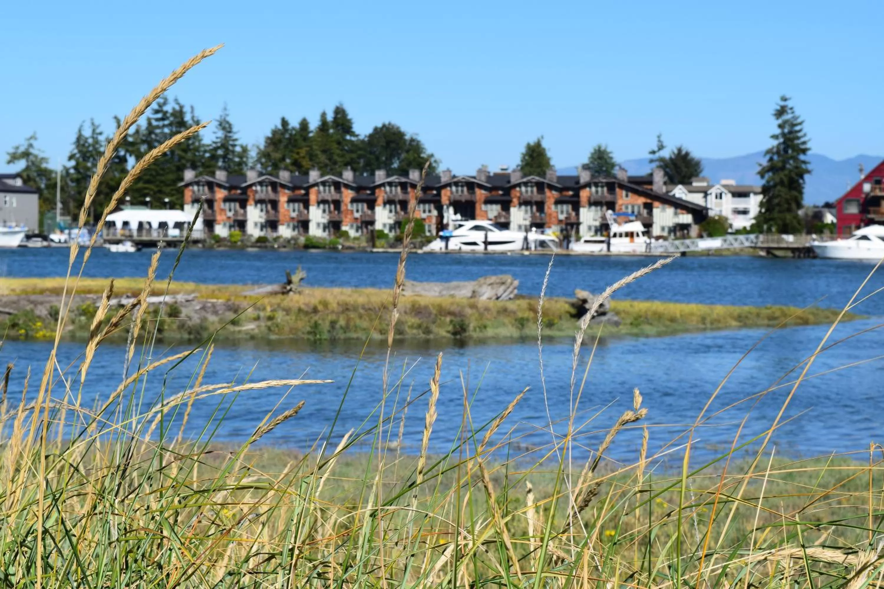 Natural landscape in La Conner Channel Lodge