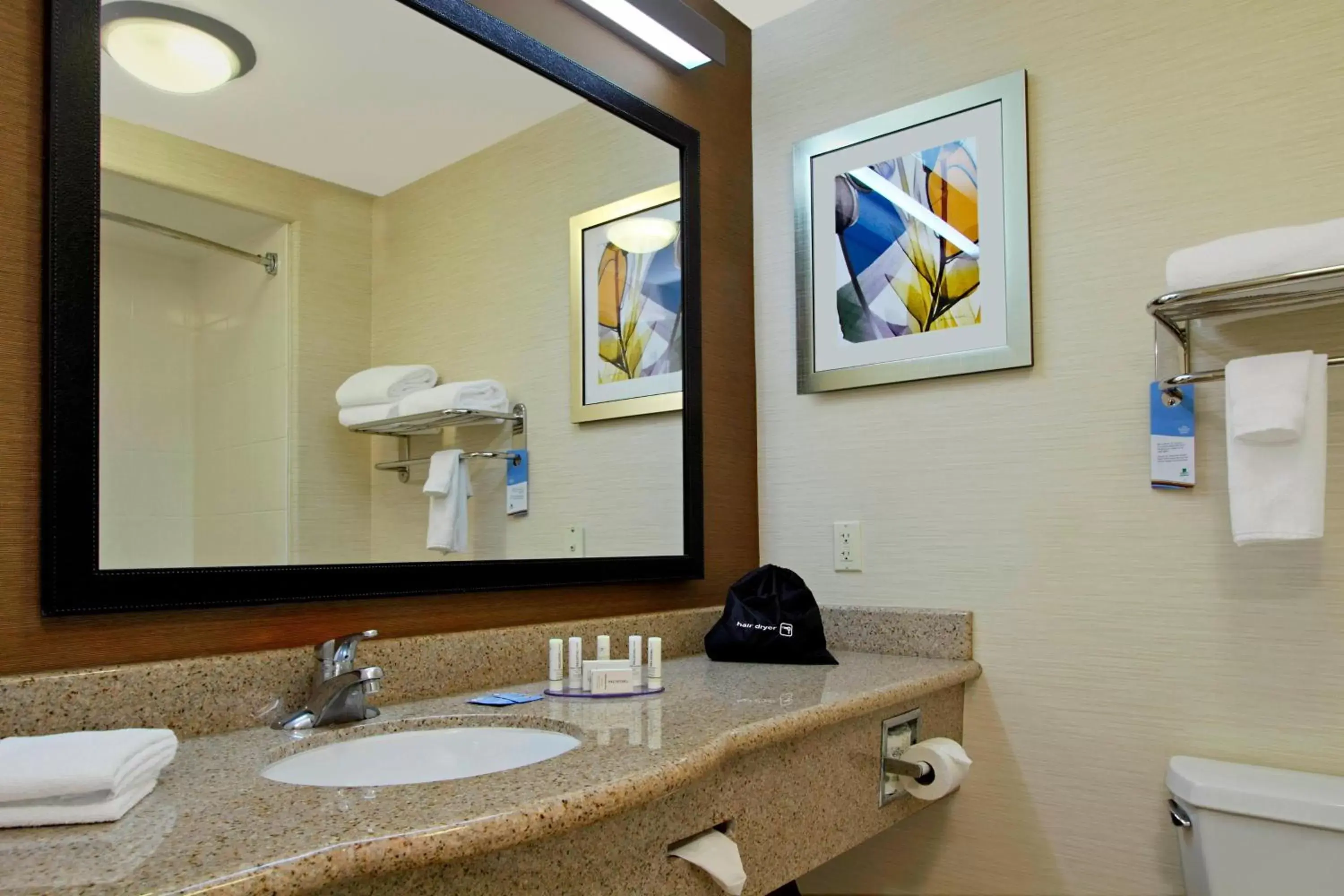 Bathroom in Fairfield Inn & Suites by Marriott Fairfield Napa Valley Area
