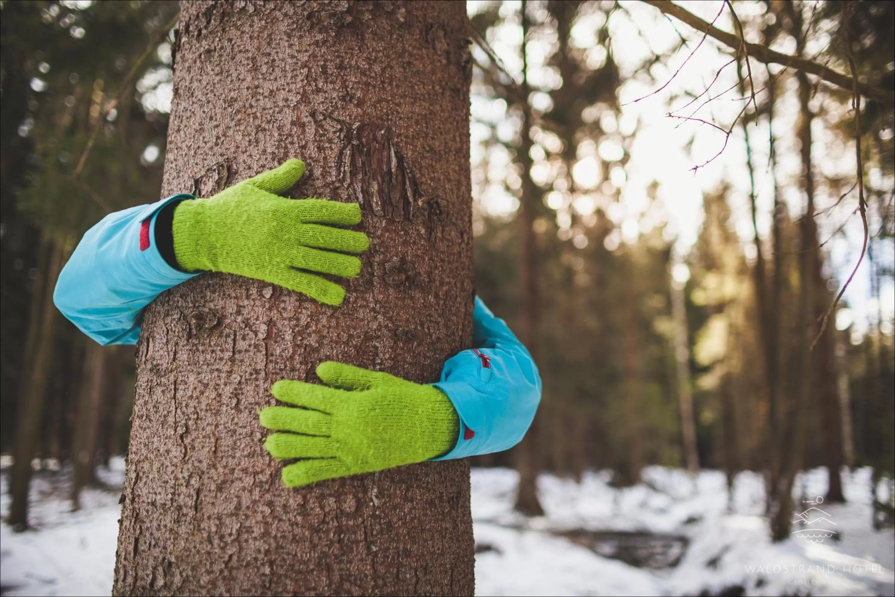 Natural landscape in Waldstrand-Hotel Großschönau