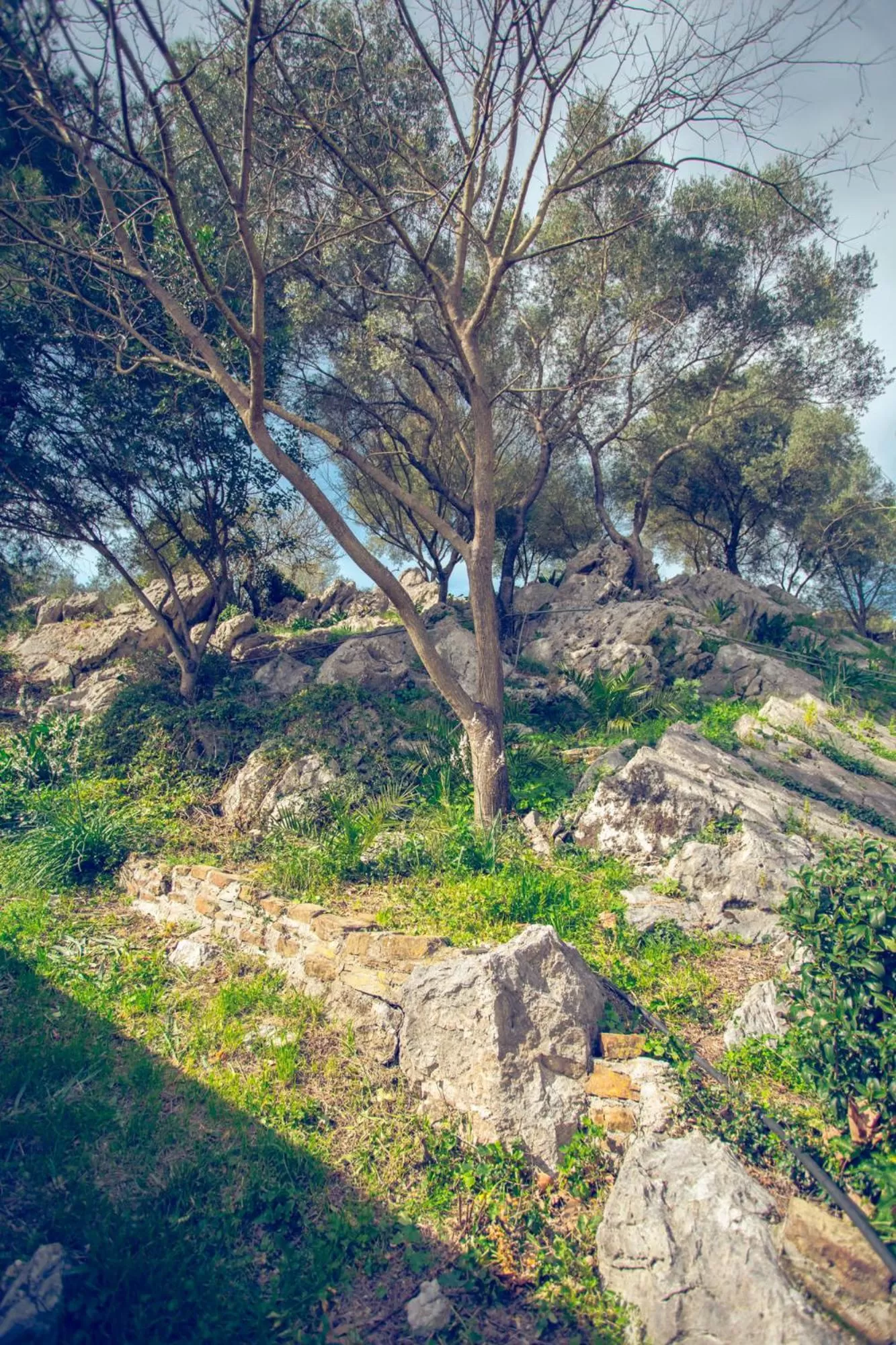 Day in Hotel Marathia