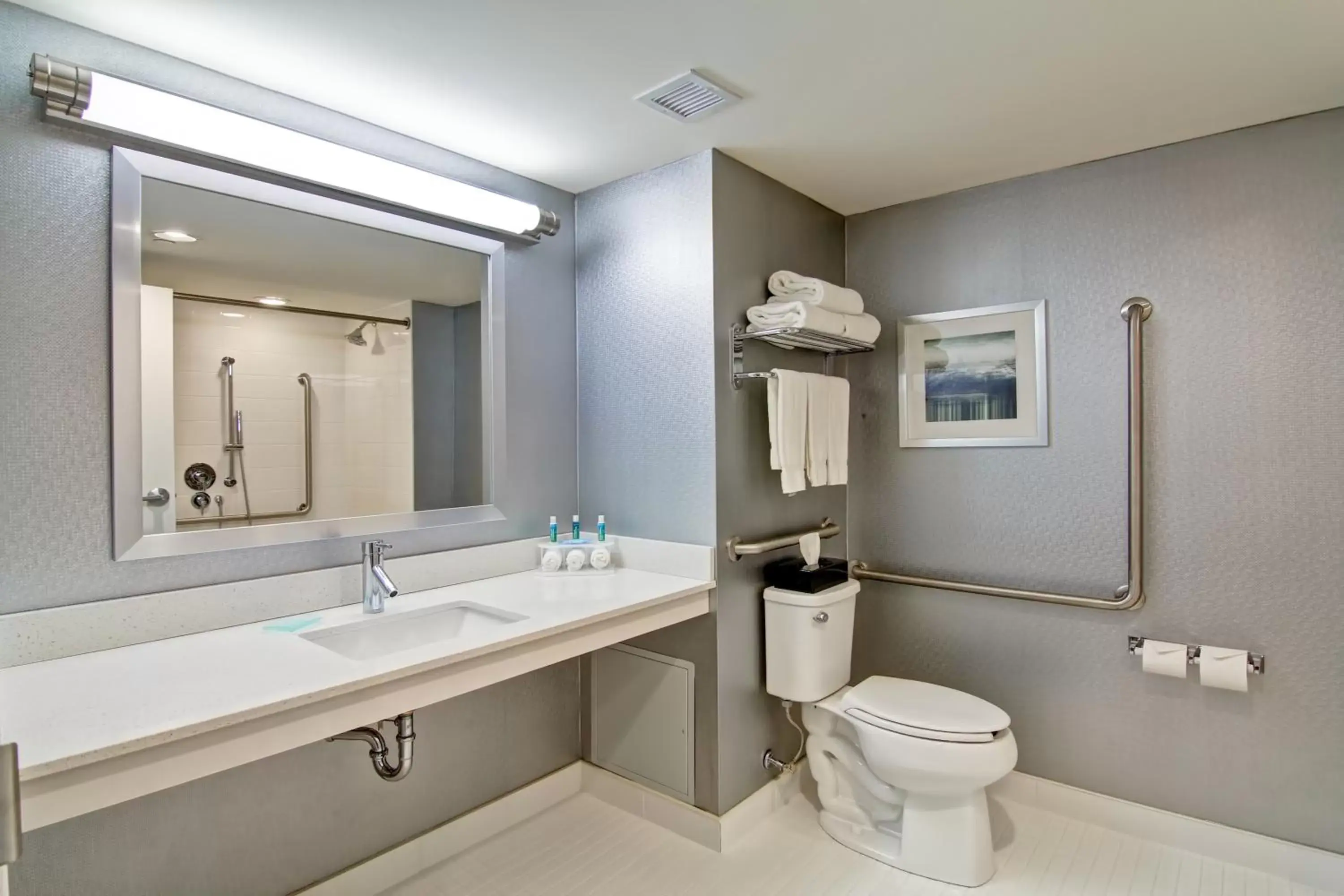 Bathroom in Holiday Inn Express & Suites Oshawa Downtown - Toronto Area, an IHG Hotel