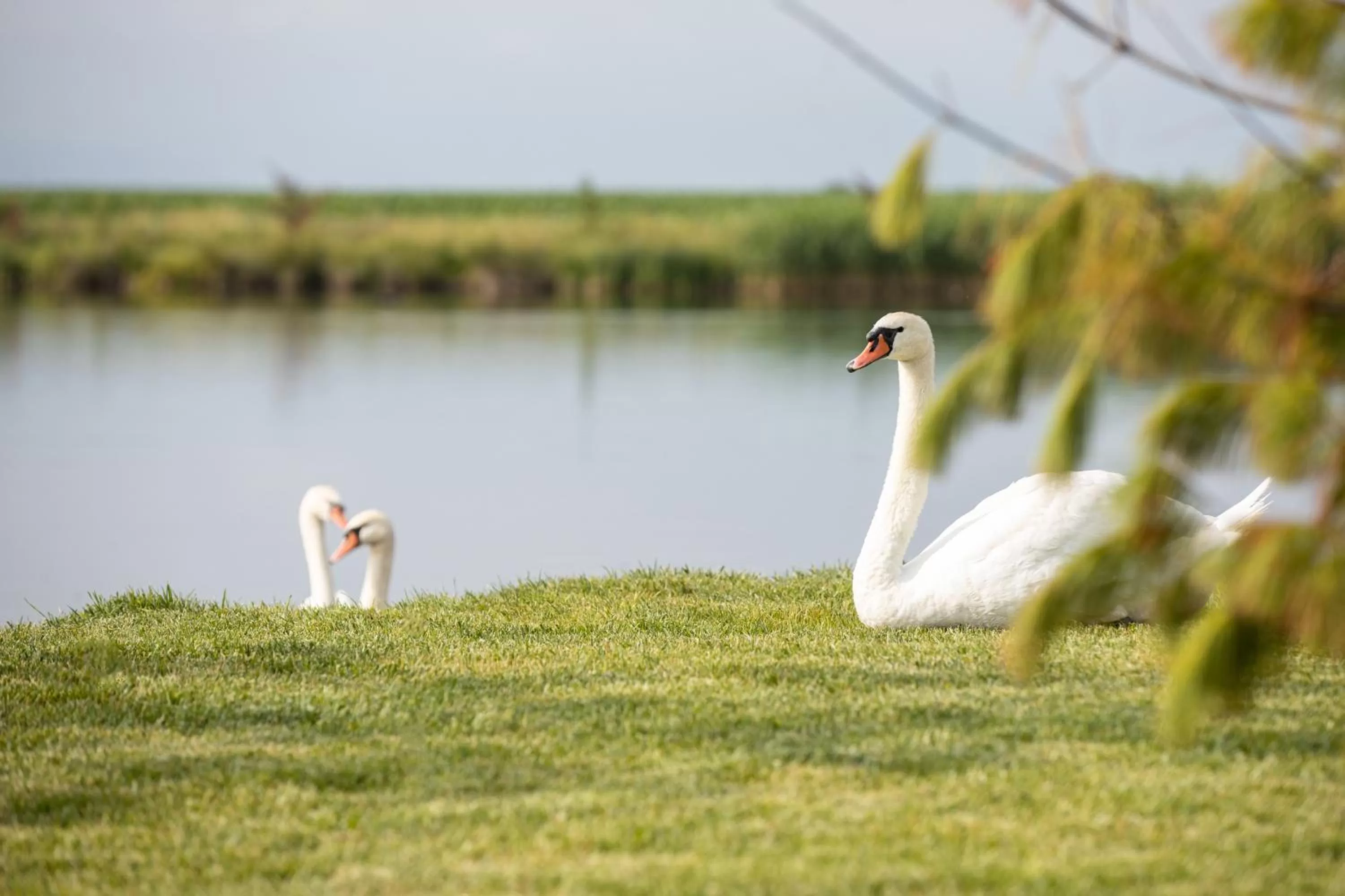 Natural landscape in Serenity Resort