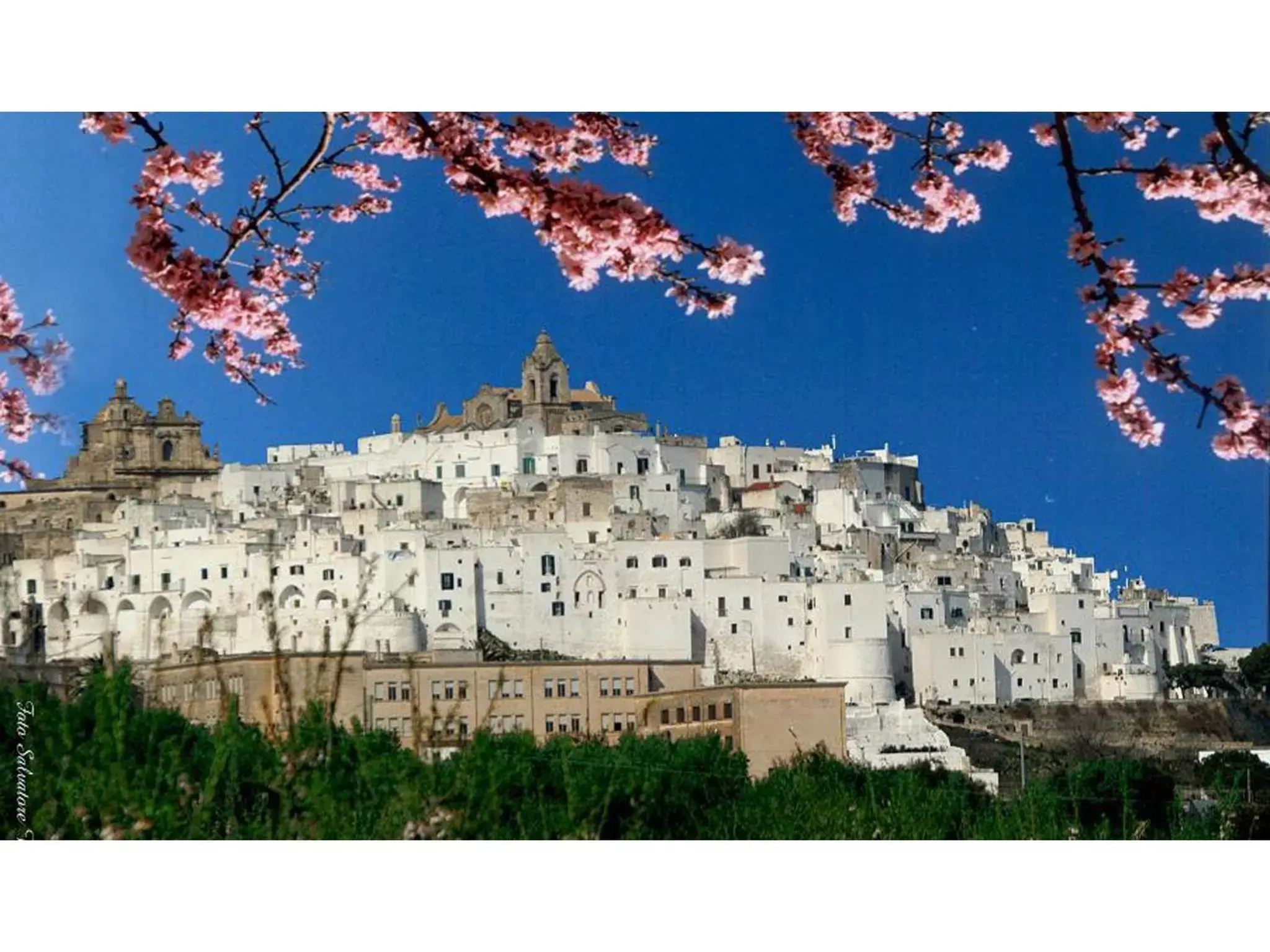 Nearby landmark in Casa Farella B&B in mini Apartments Altamura x Matera