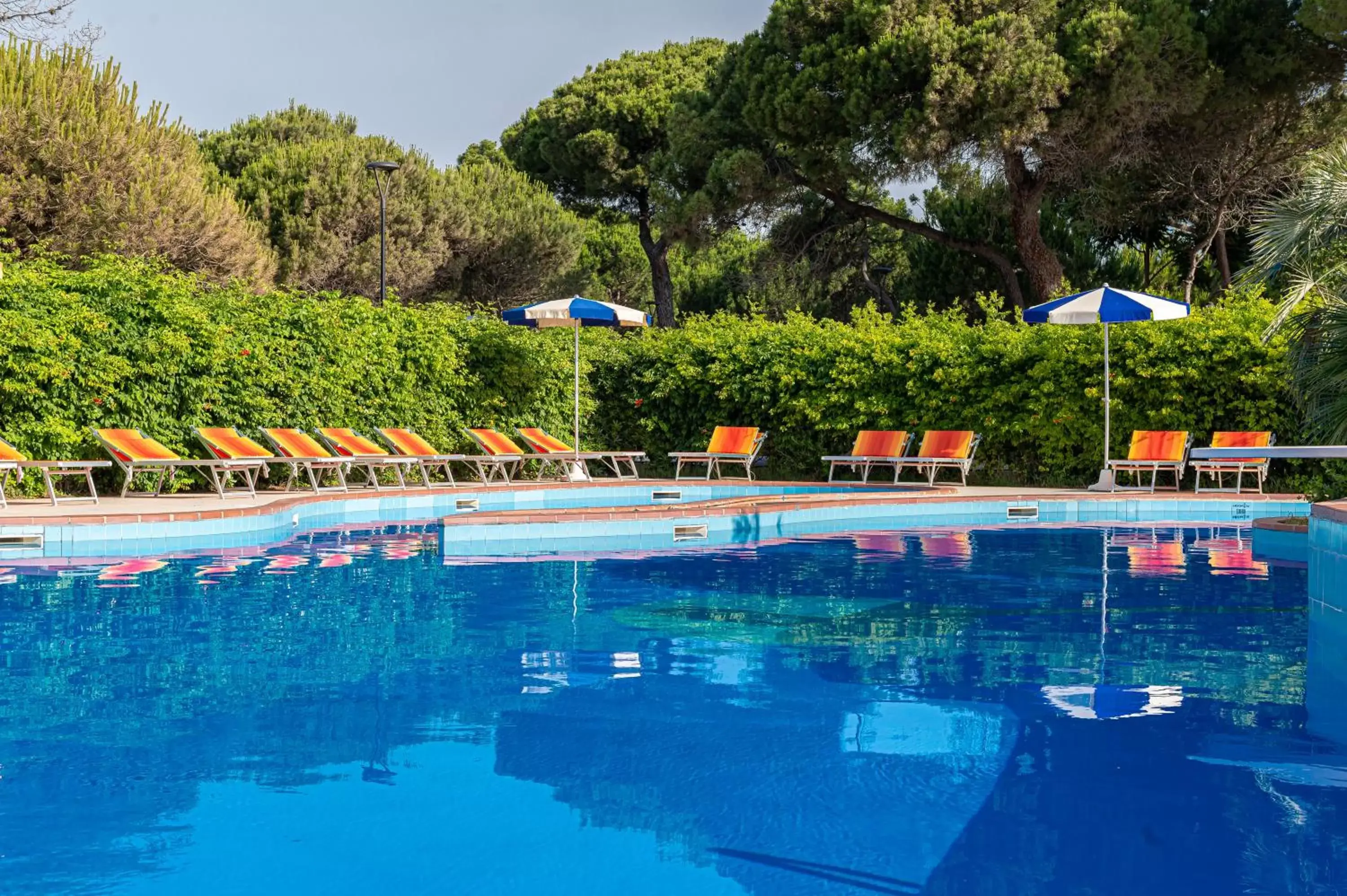 Activities, Swimming Pool in Hotel Ausonia