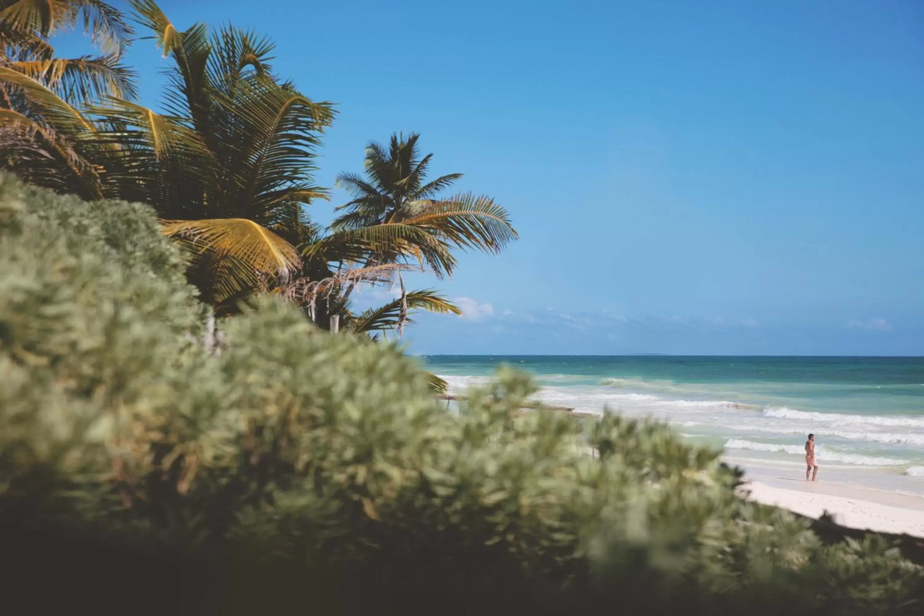 Natural landscape, Beach in Nomade Tulum