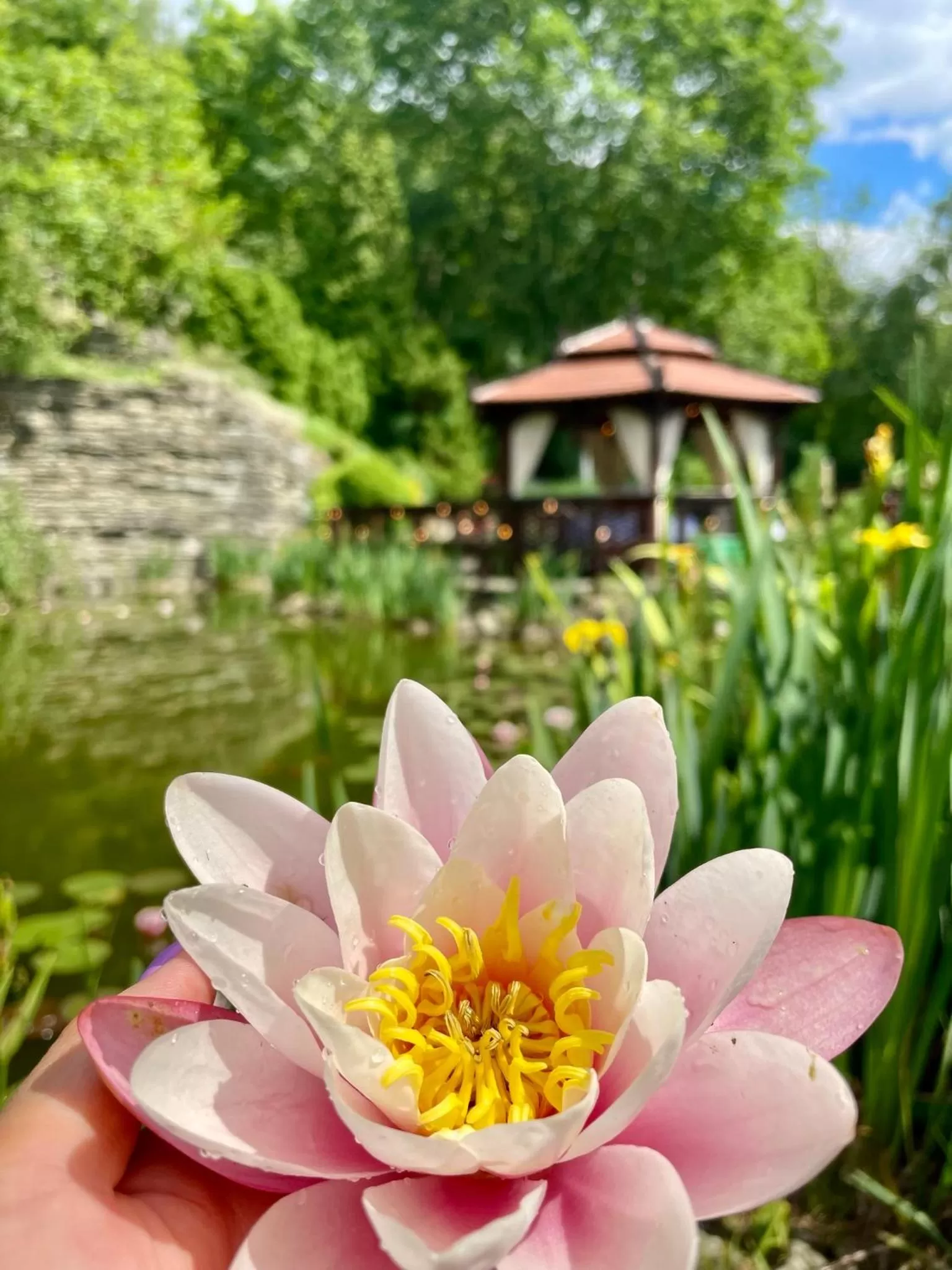 Area and facilities in Hotel Belweder