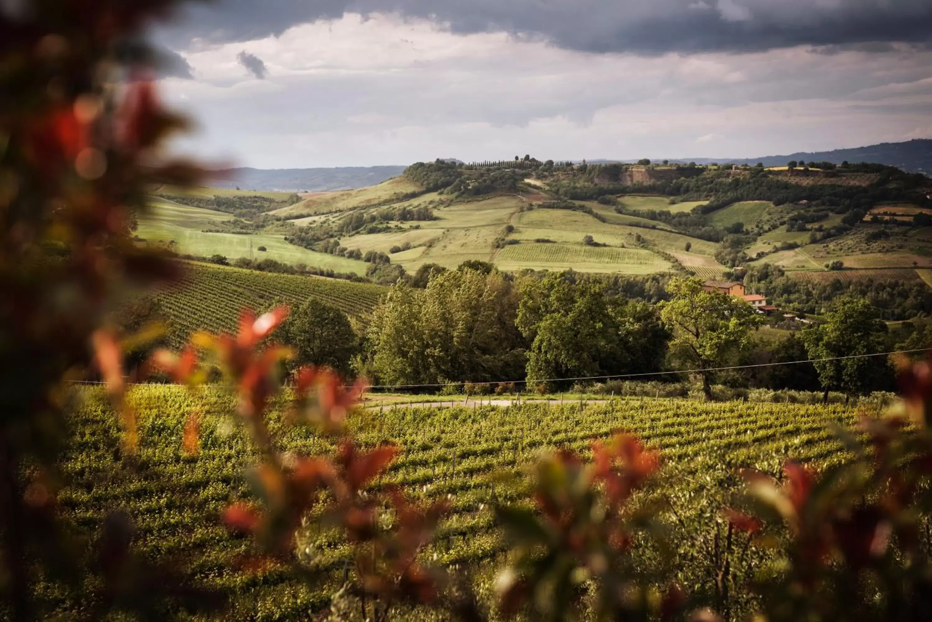 Natural Landscape in Altarocca Wine Resort Adults Only