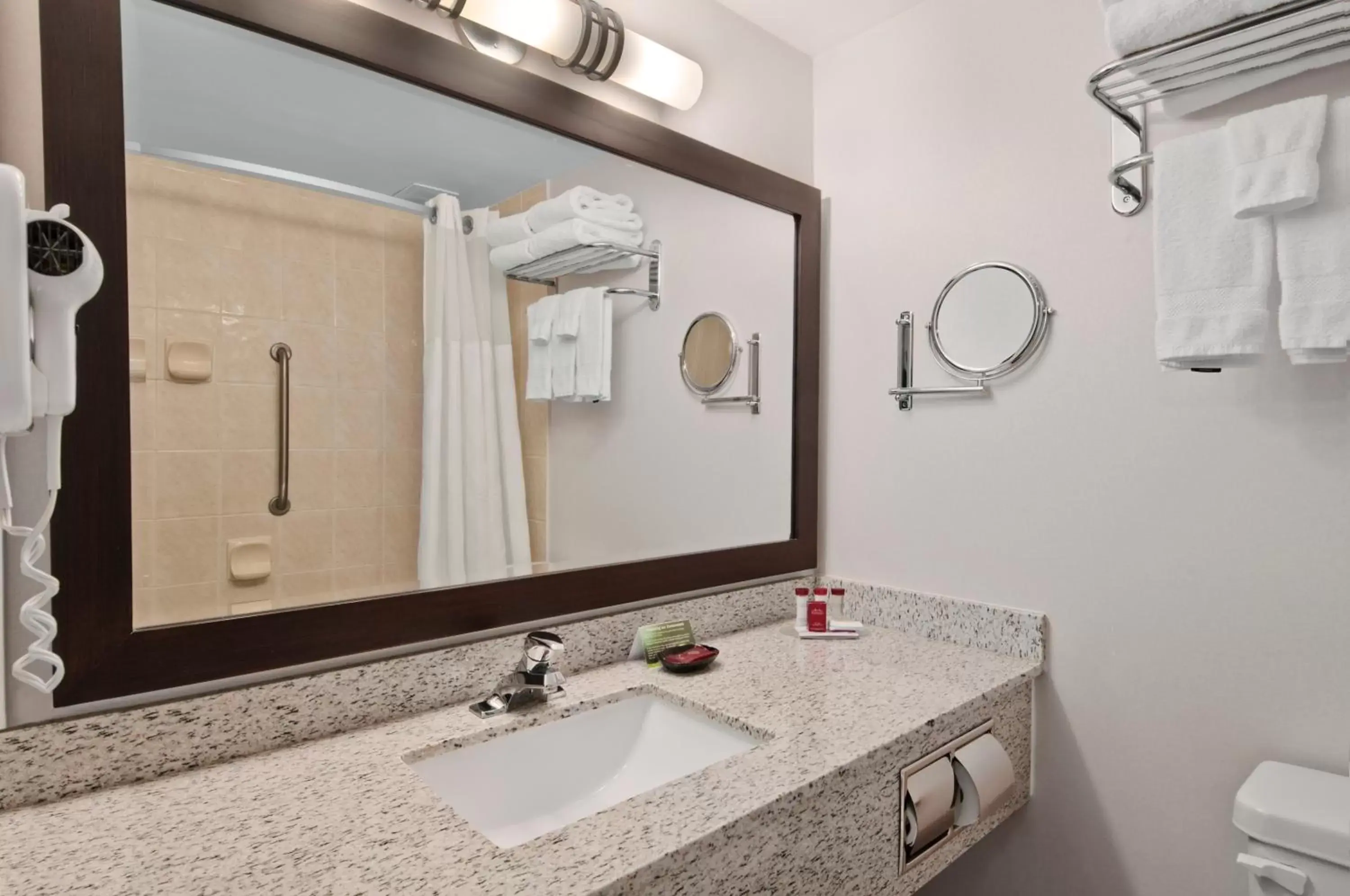 Bathroom in Ramada by Wyndham Edmonton South