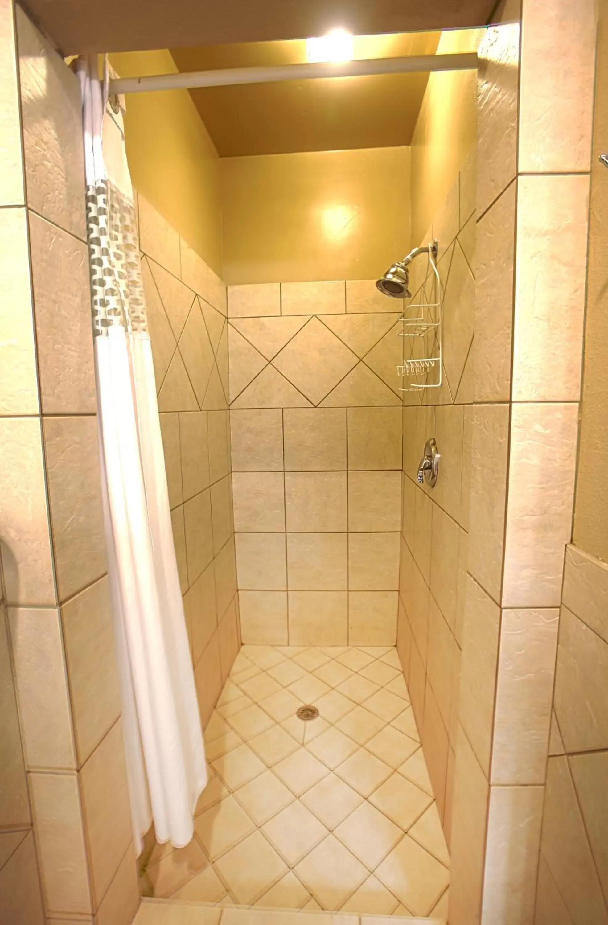 Shower, Bathroom in Plantation Suites and Conference Center