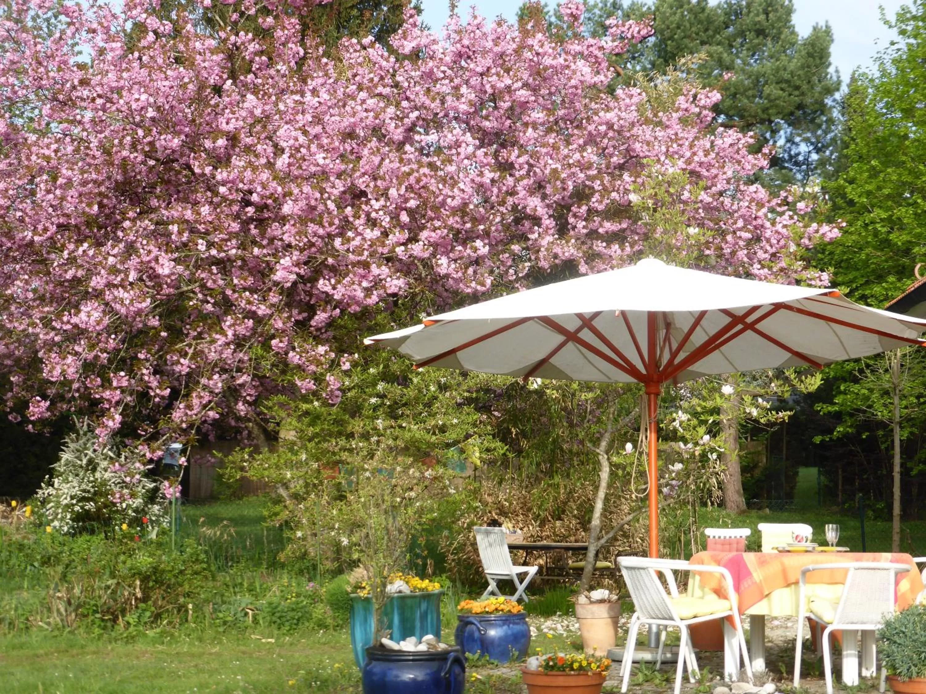 Garden in Bed and Breakfast Bavaria München