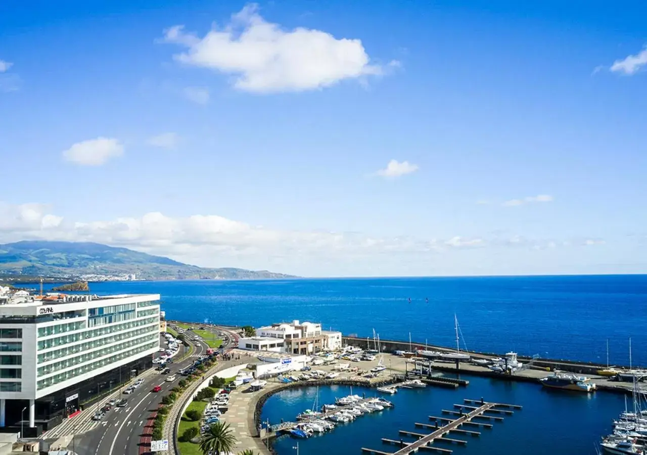 Bird's eye view, Bird's-eye View in Octant Ponta Delgada