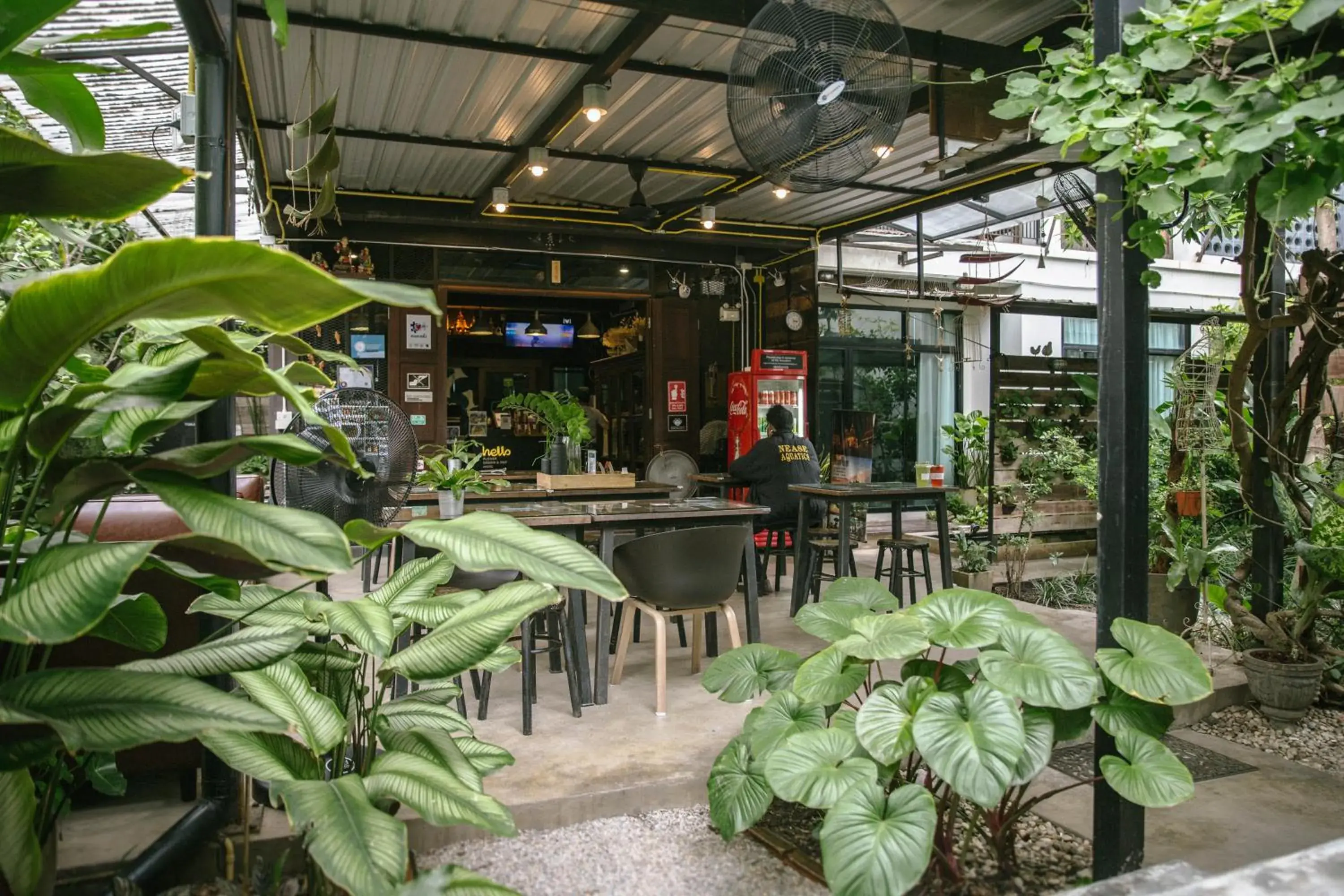 Restaurant/places to eat in Gord ChiangMai - SHA Extra Plus