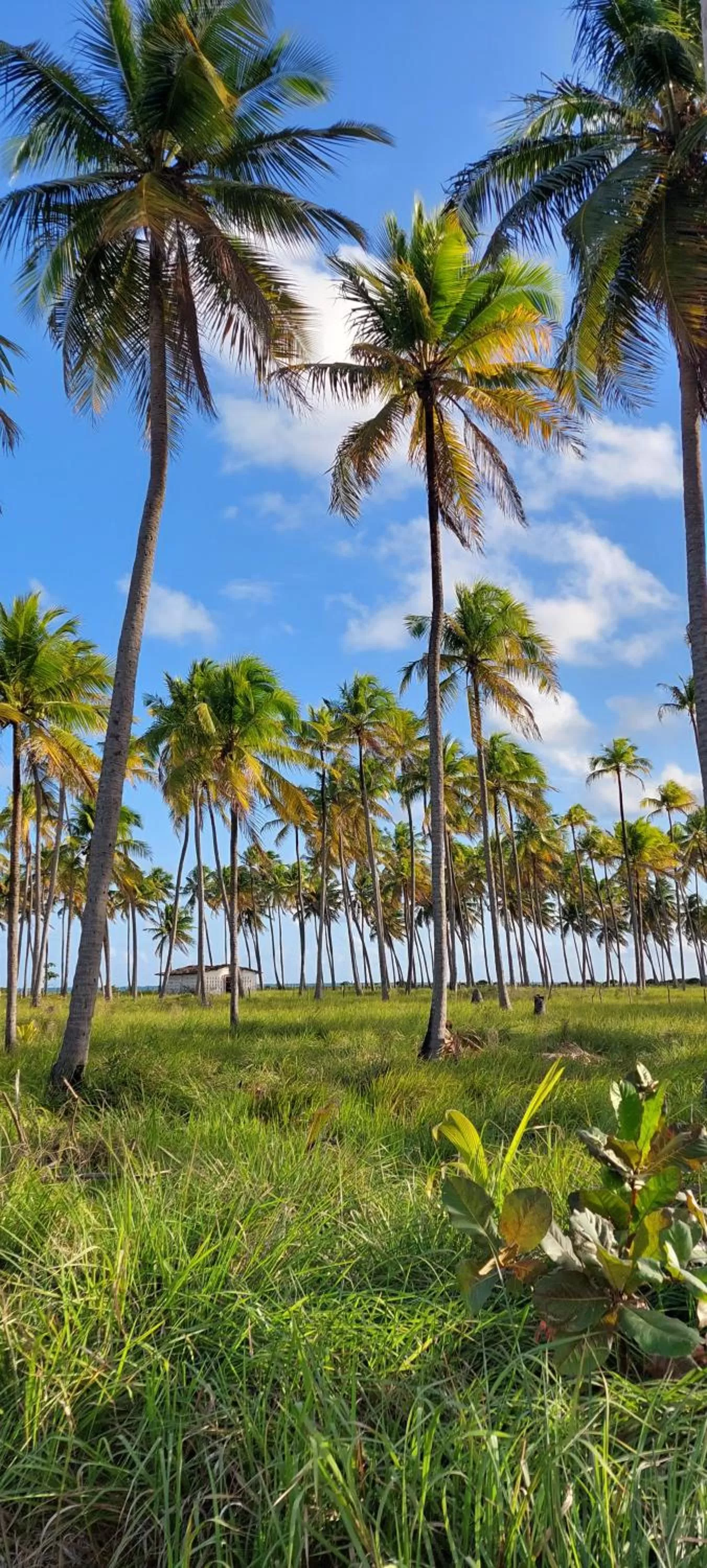 Nearby landmark in Arataba Hotel Boutique e Bistrô - 150 mts do mar