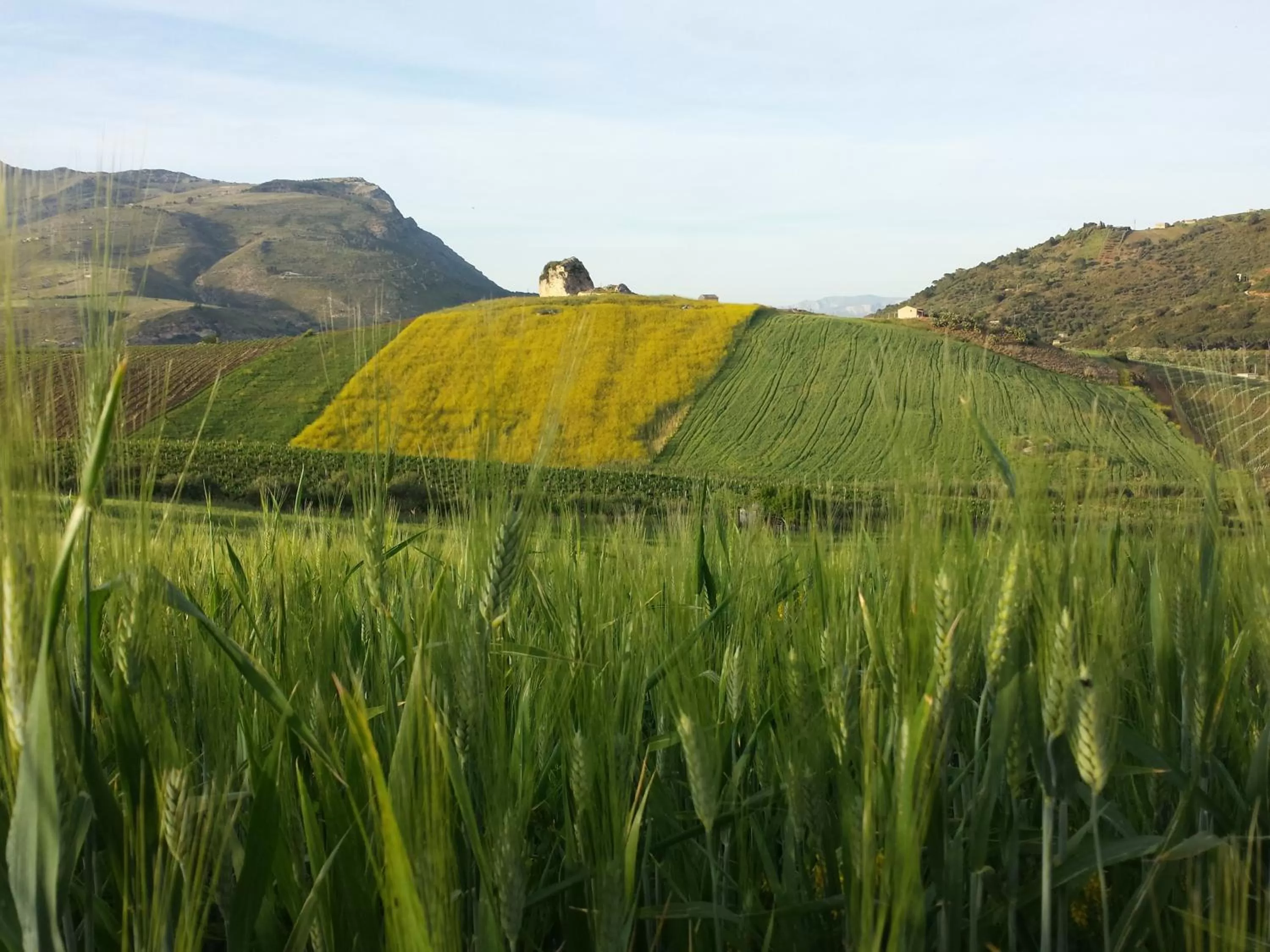 Natural landscape in La Suite Di Segesta