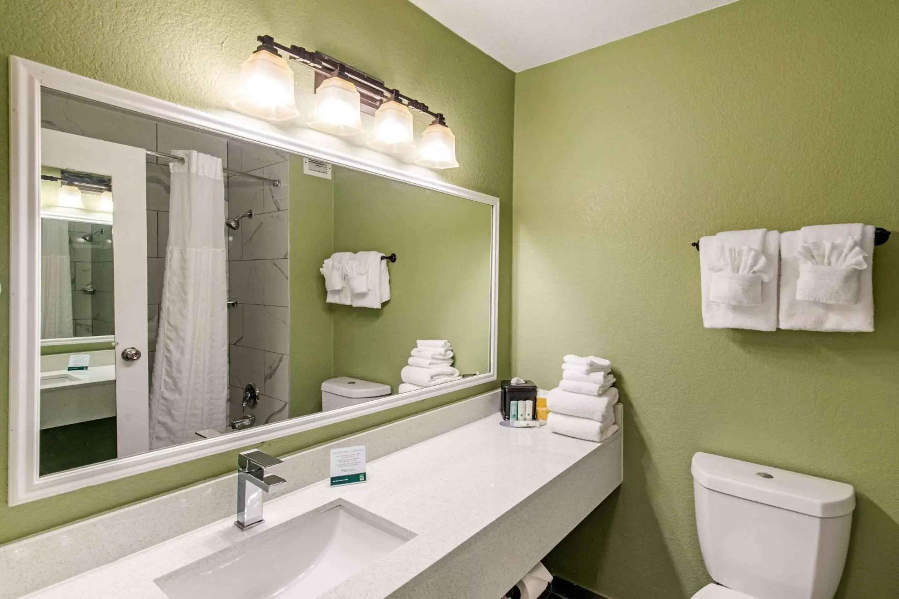 Bathroom in Quality Inn & Suites Plano