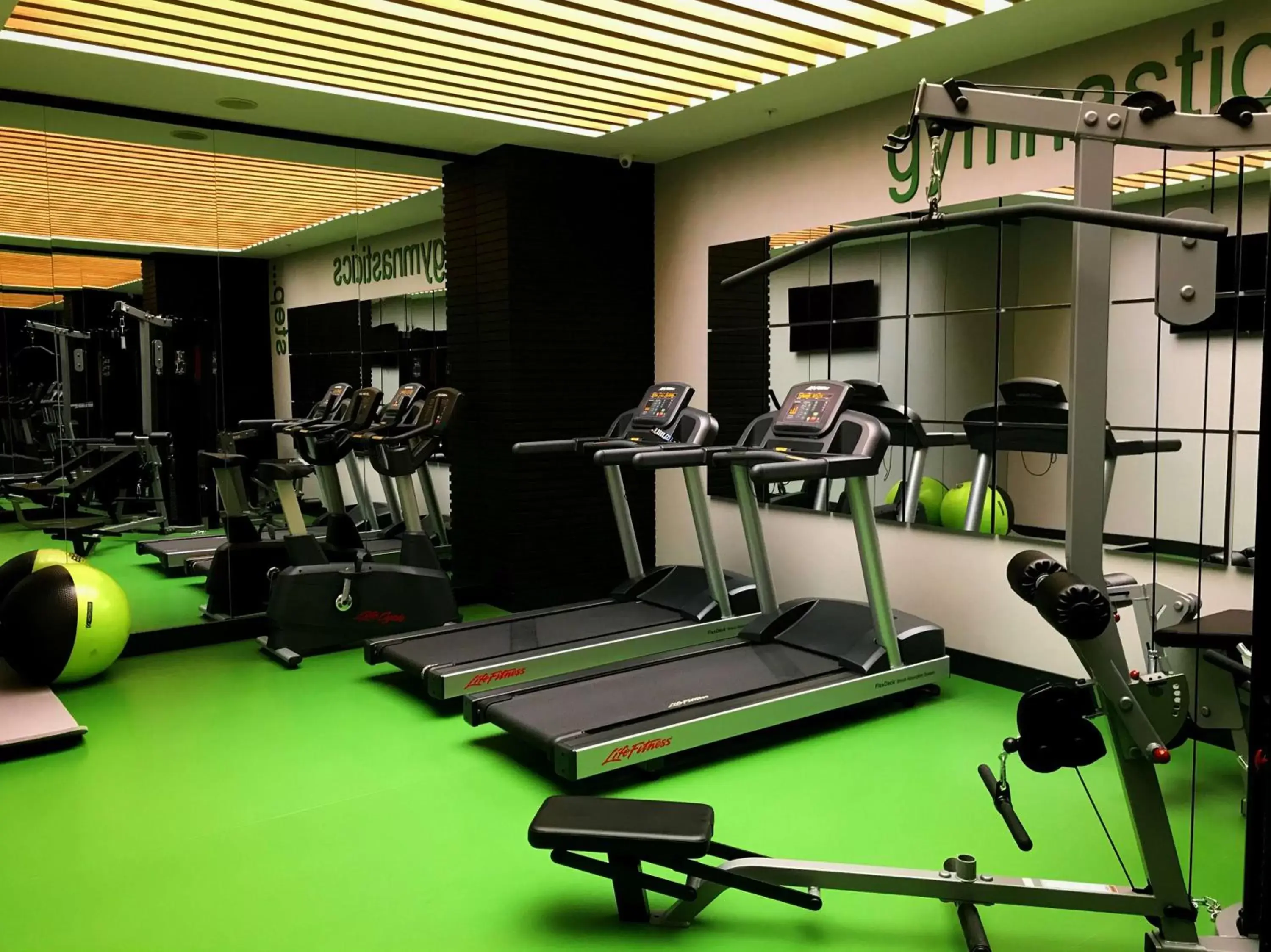 Activities, Fitness Center/Facilities in Park Inn by Radisson Izmir