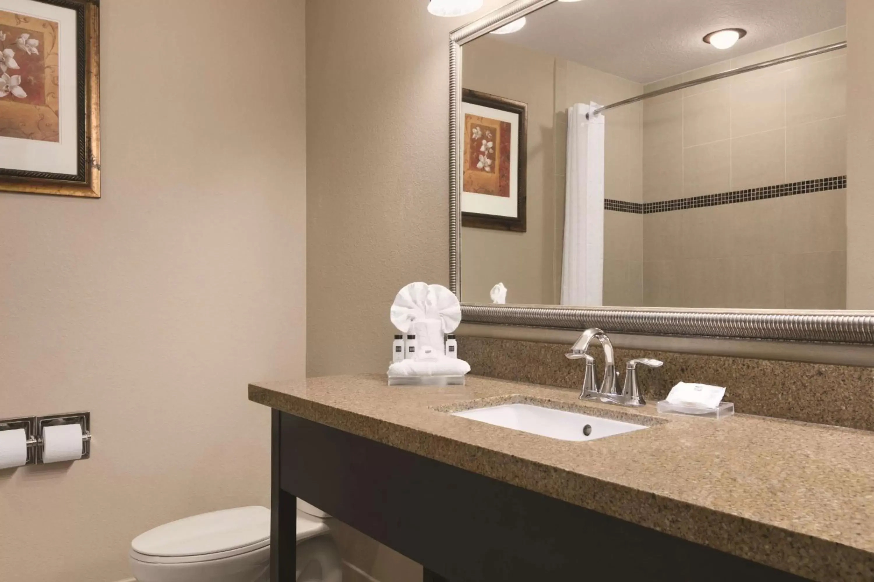 Bathroom in Country Inn & Suites by Radisson, Tampa Airport North, FL