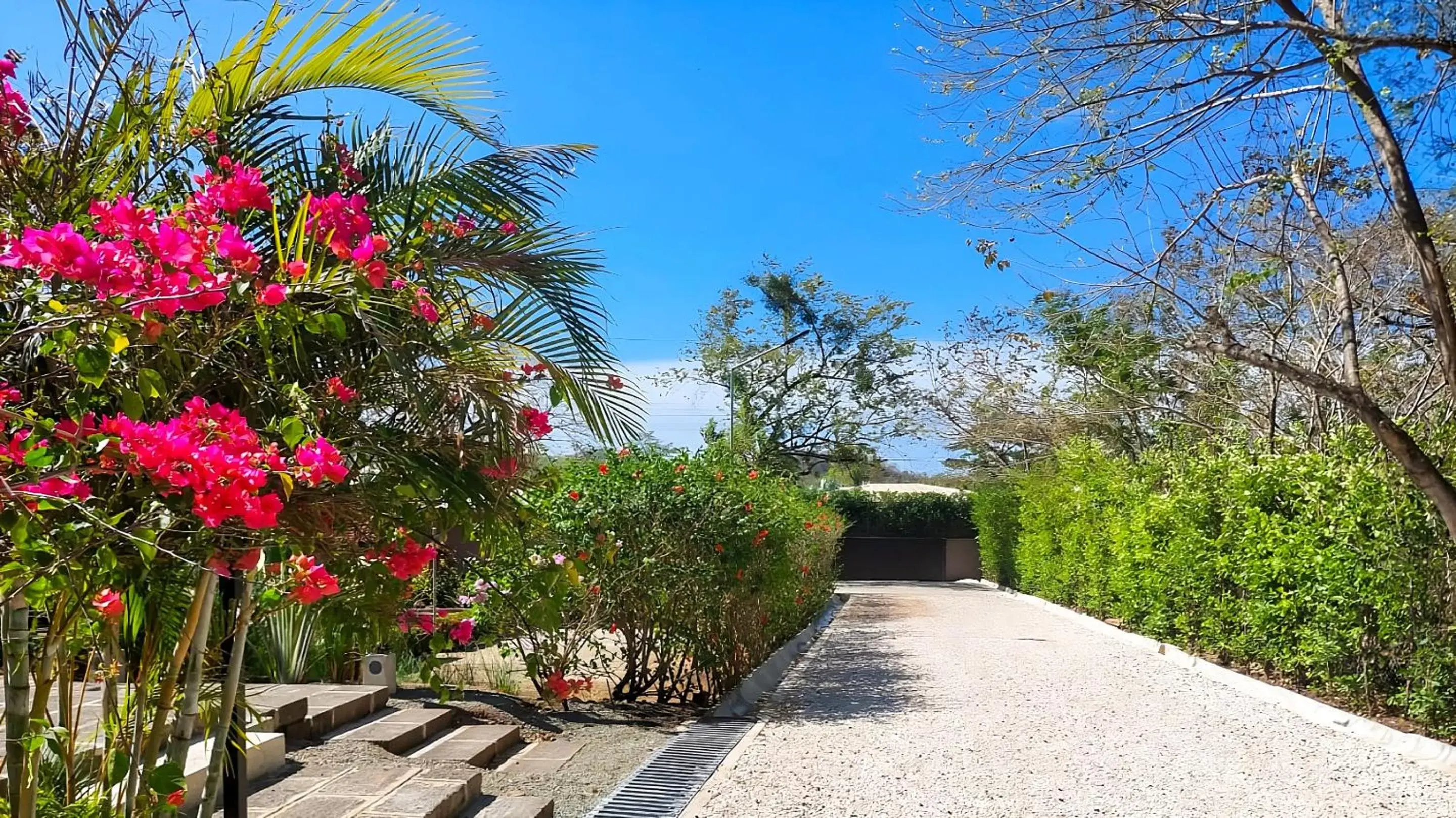 Garden in Tee-K Lodge Tamarindo