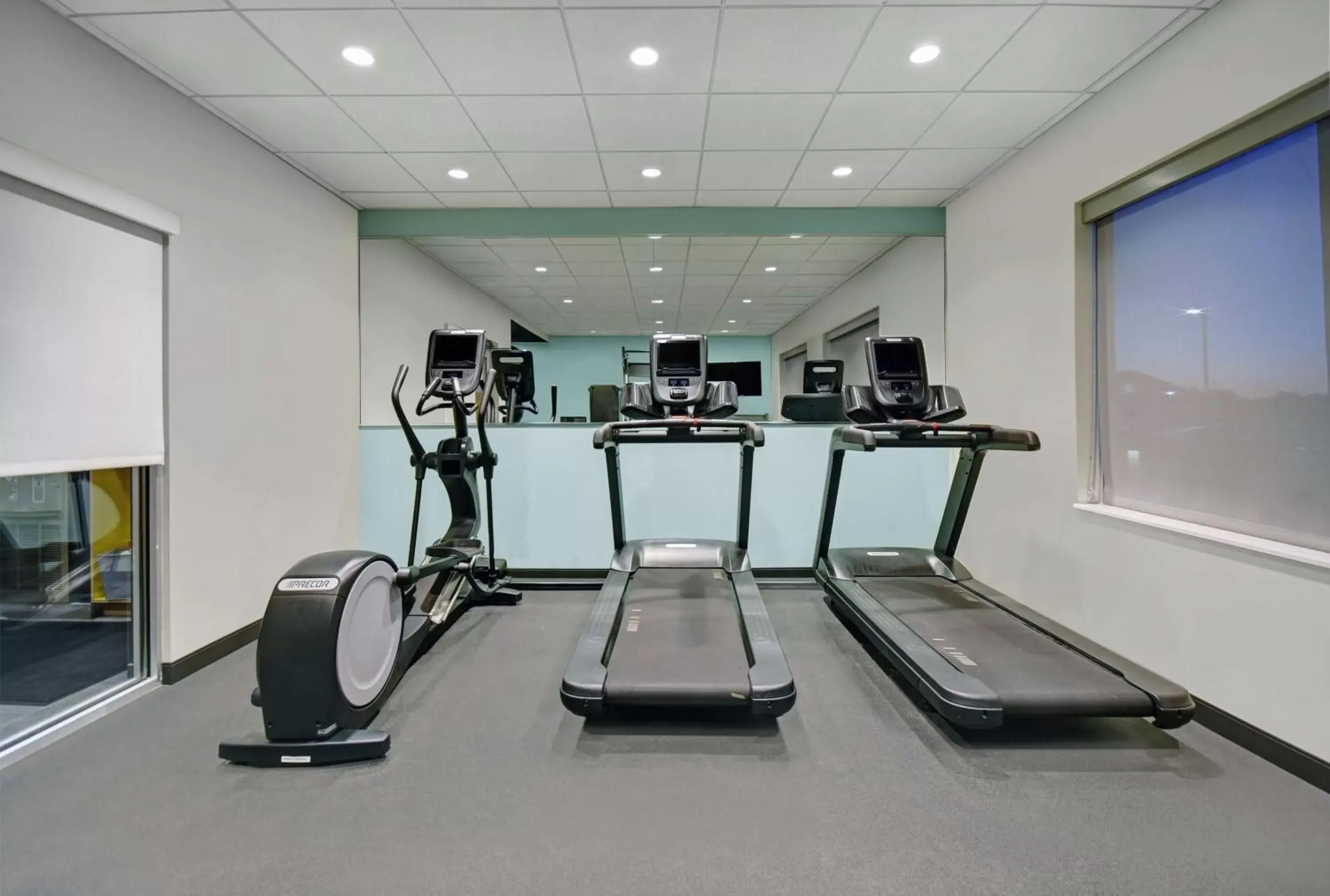 Fitness centre/facilities, Fitness Center/Facilities in Tru By Hilton Gaylord, Mi