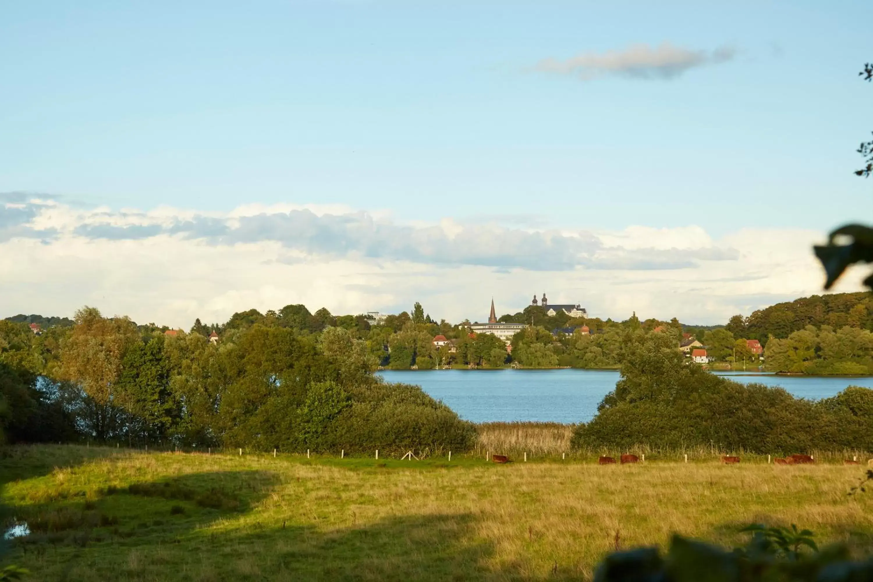 Natural Landscape in Hotel Plöner See by Tulip Inn