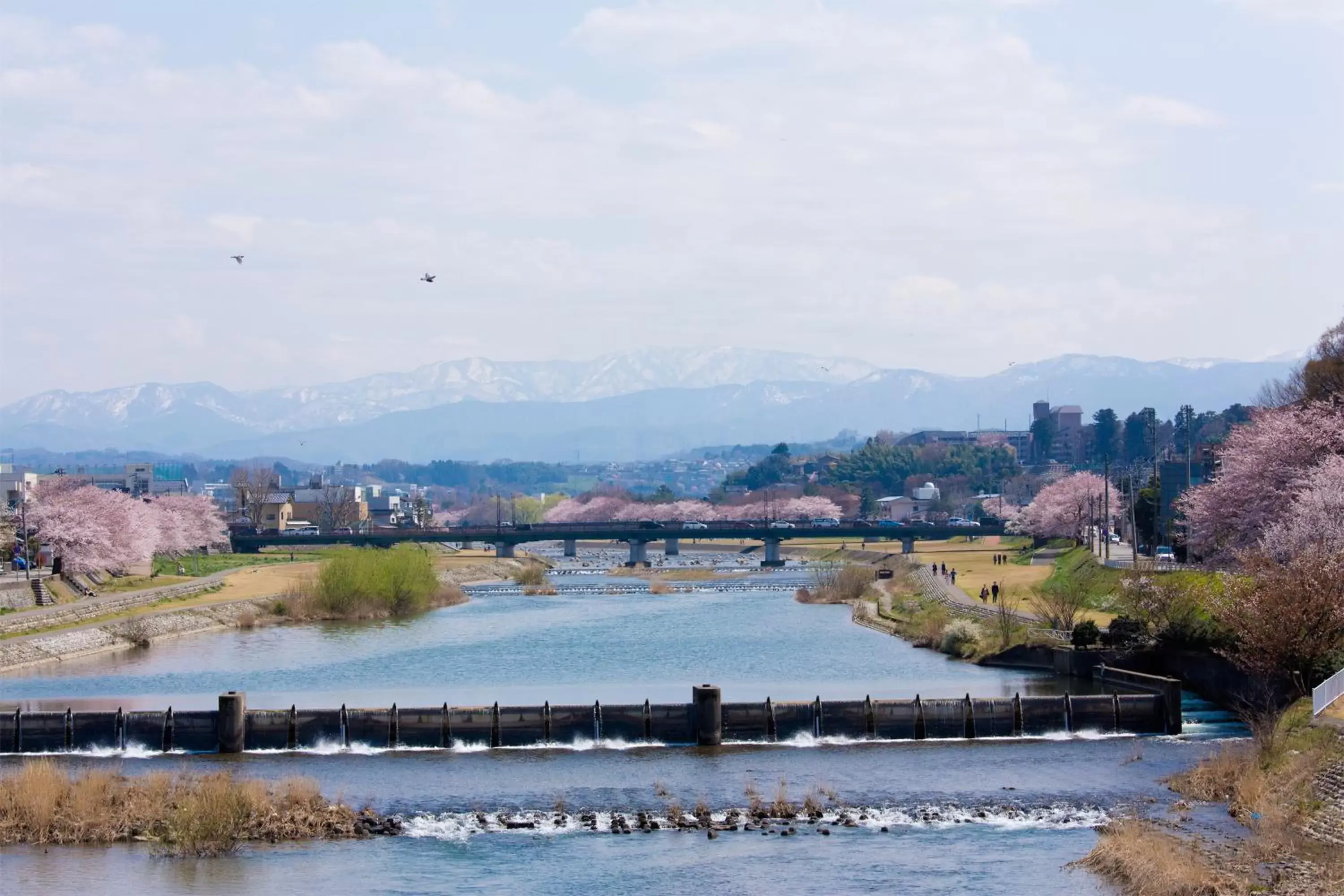 Spring in Tmark City Hotel Kanazawa