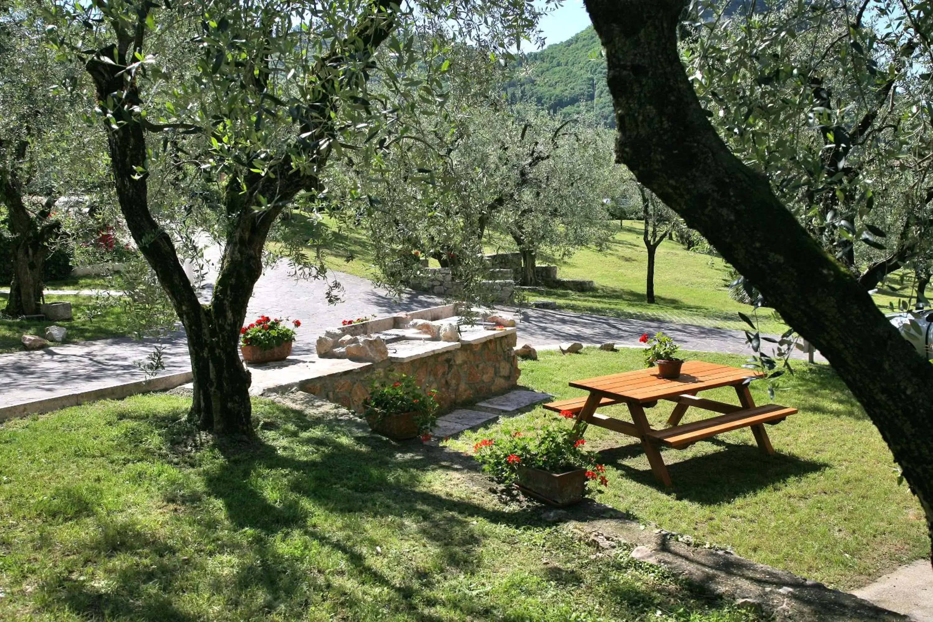 Natural landscape, Garden in Residence Uliveto