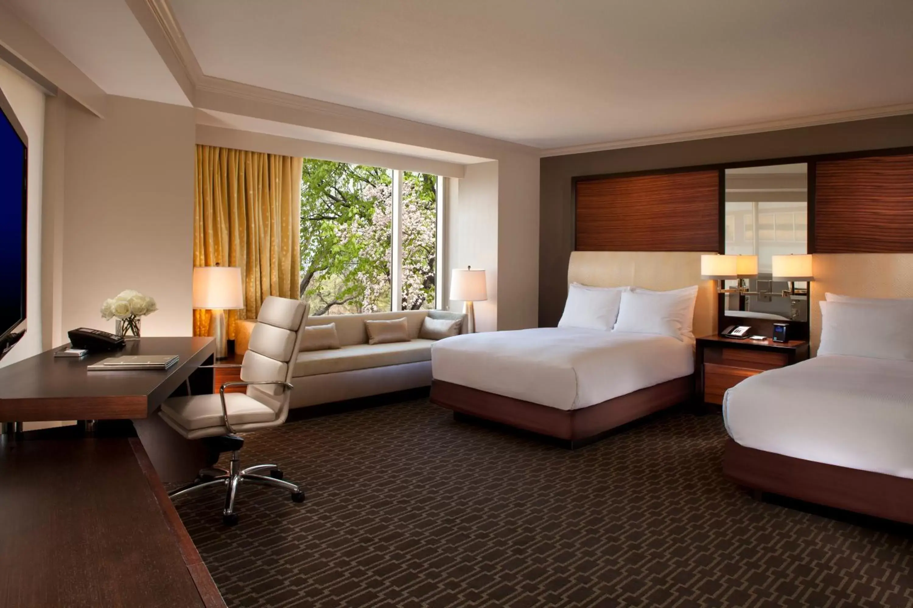 Deluxe Studio Suite with Two Double Beds in Hilton McLean Tysons Corner Deluxe Studio Suite with Two Double Beds in Hilton McLean Tysons Corner