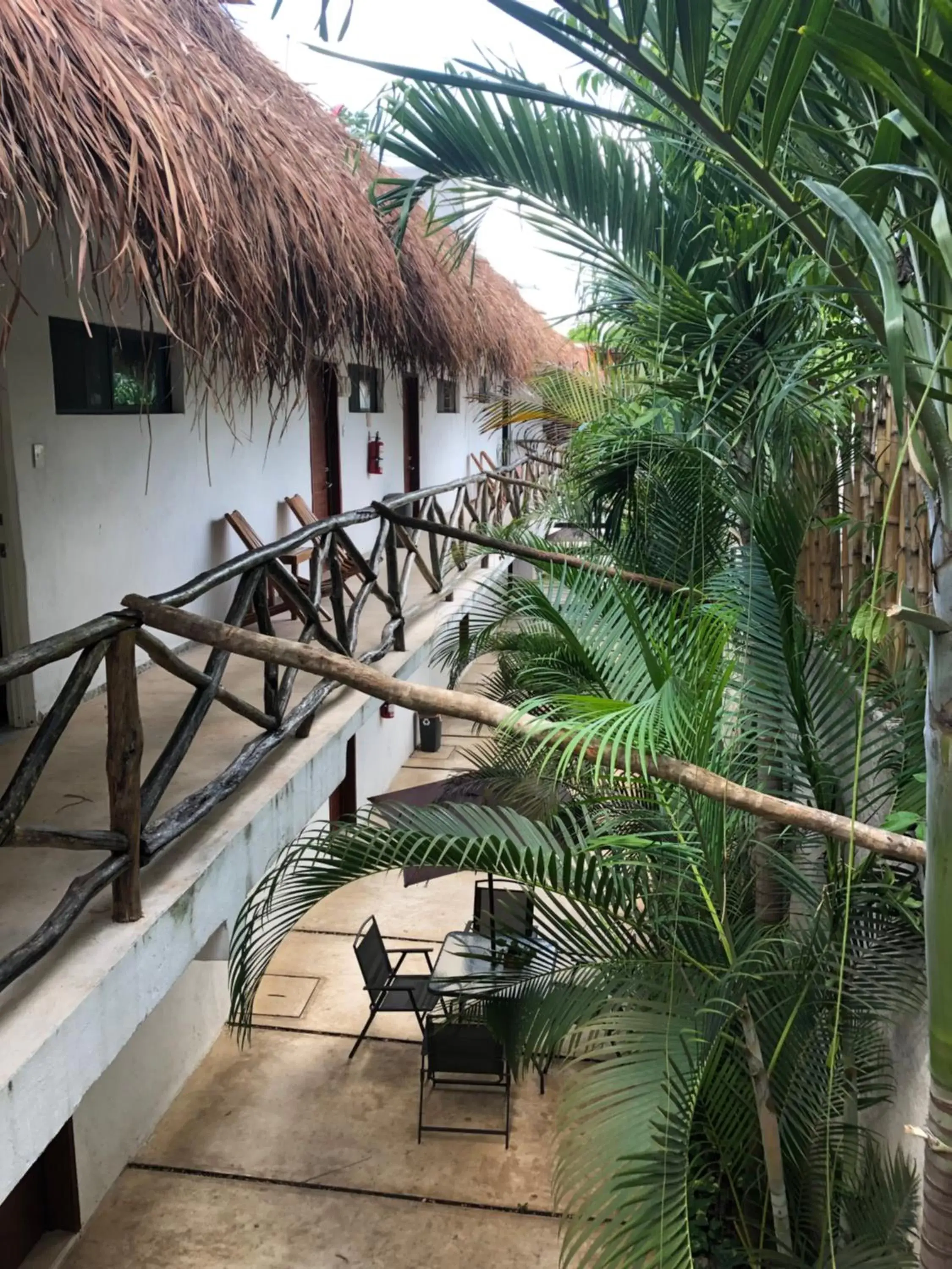 Hotel Casa Bamboo