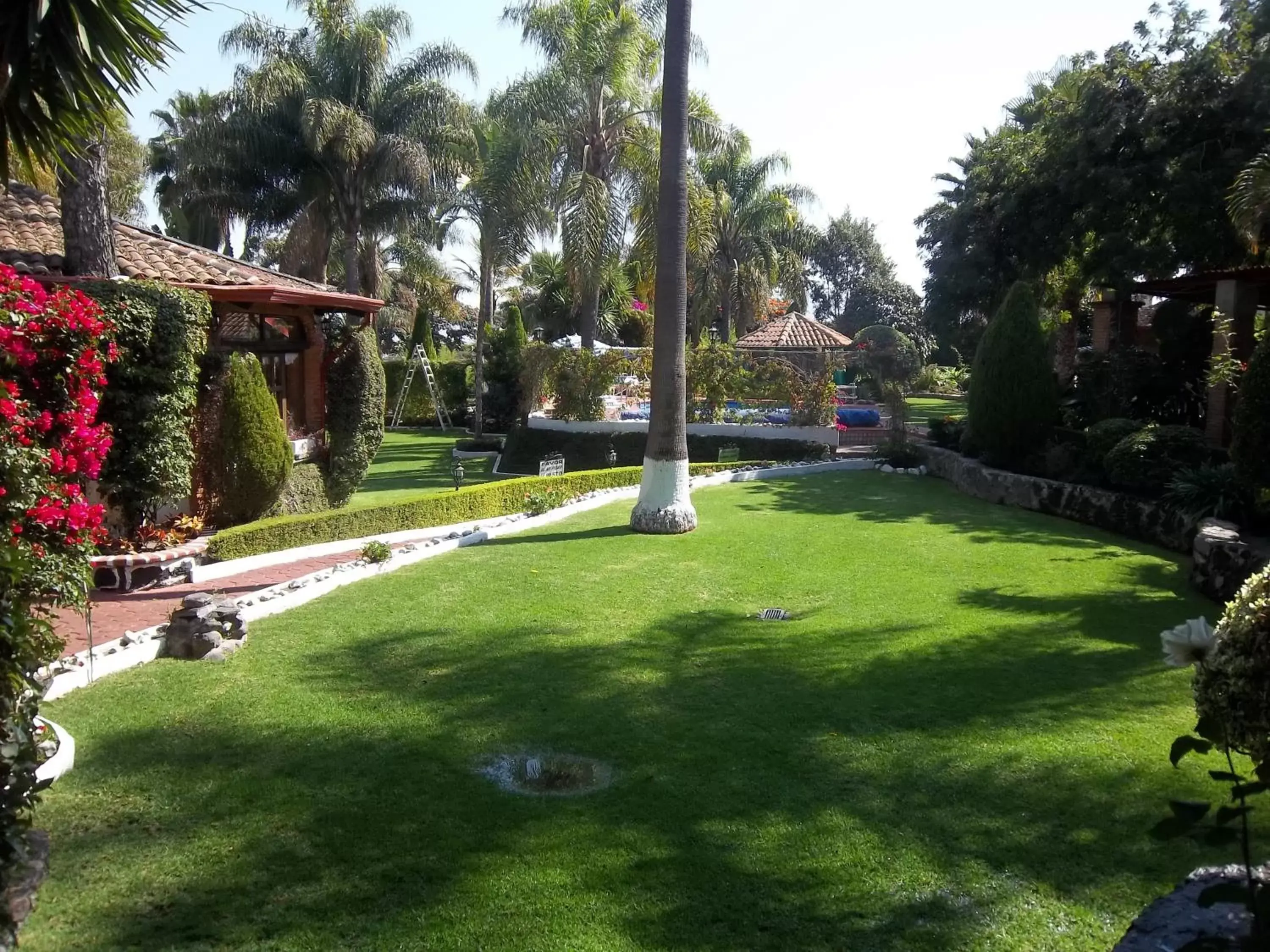 Garden in Posada Los Alcatraces