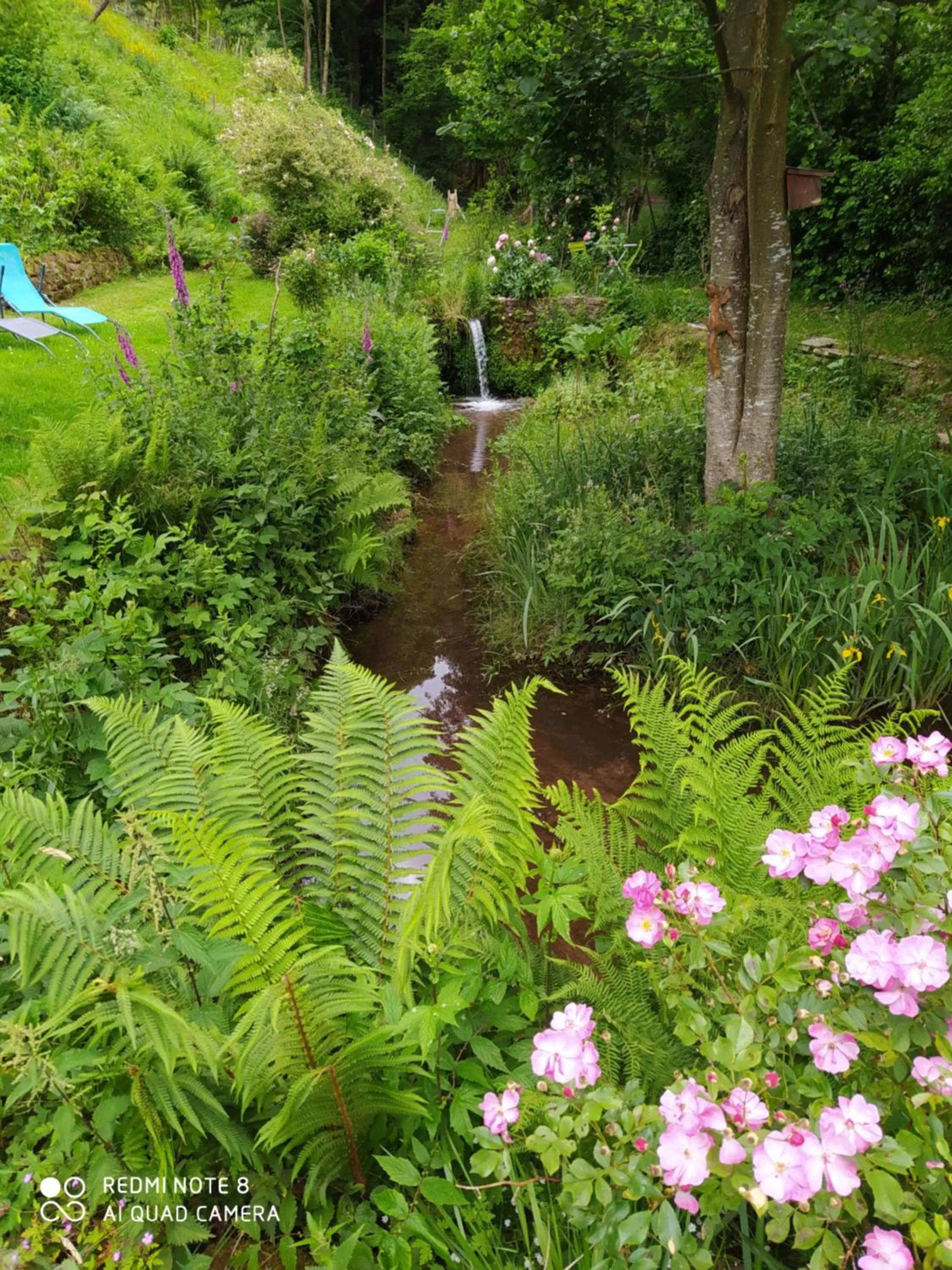 Garden view in L'Atelier de Gisèle