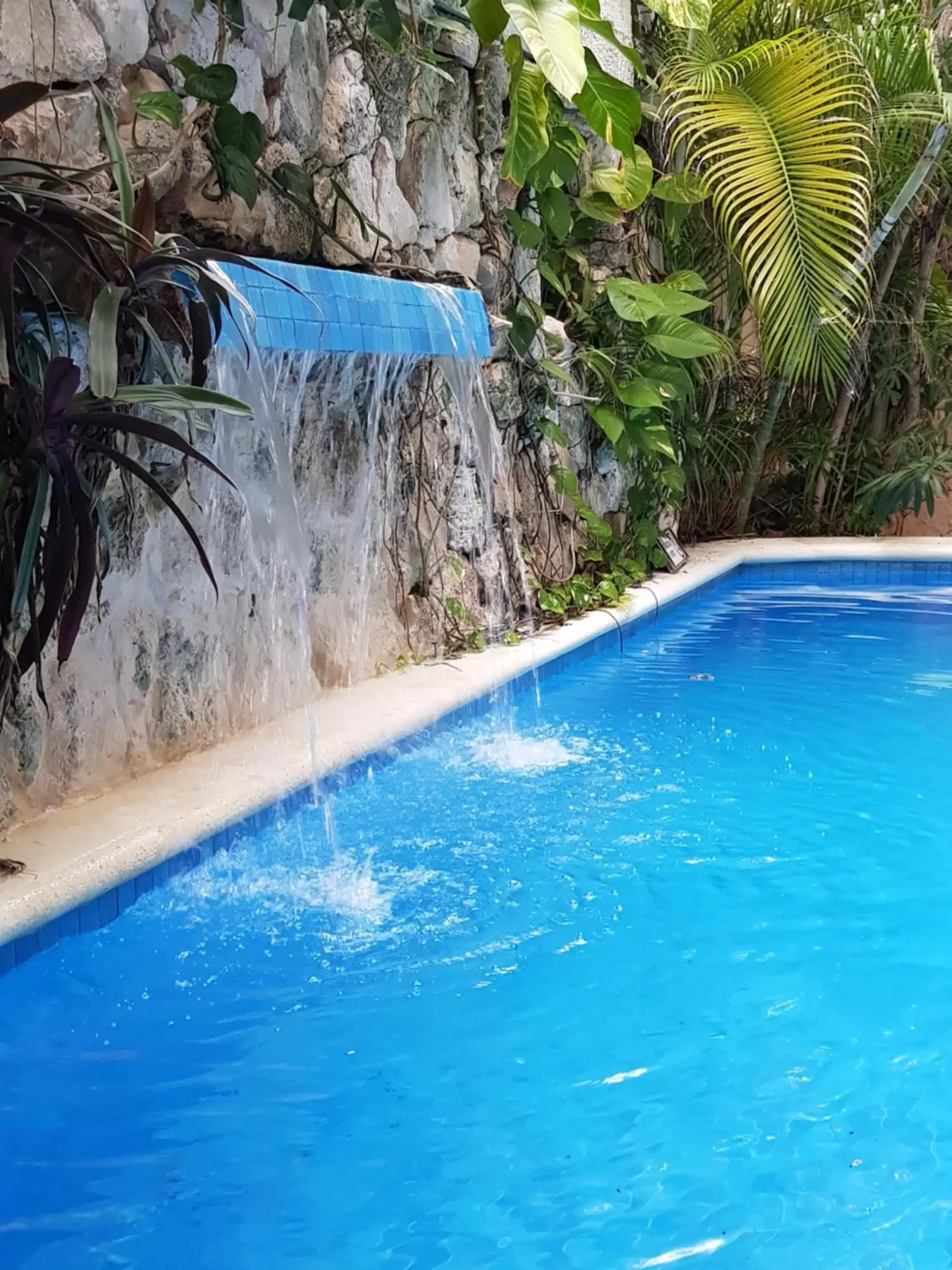 View (from property/room), Swimming Pool in Hotel El Moro