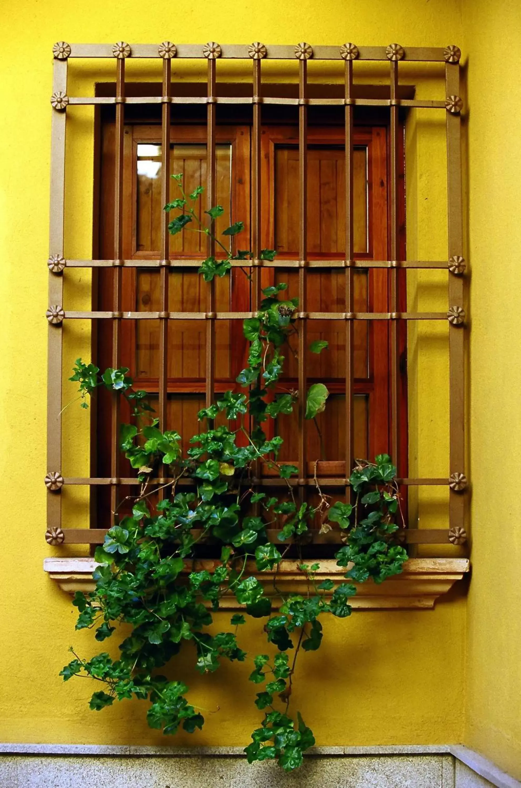 Patio in Hotel Casona de la Reyna