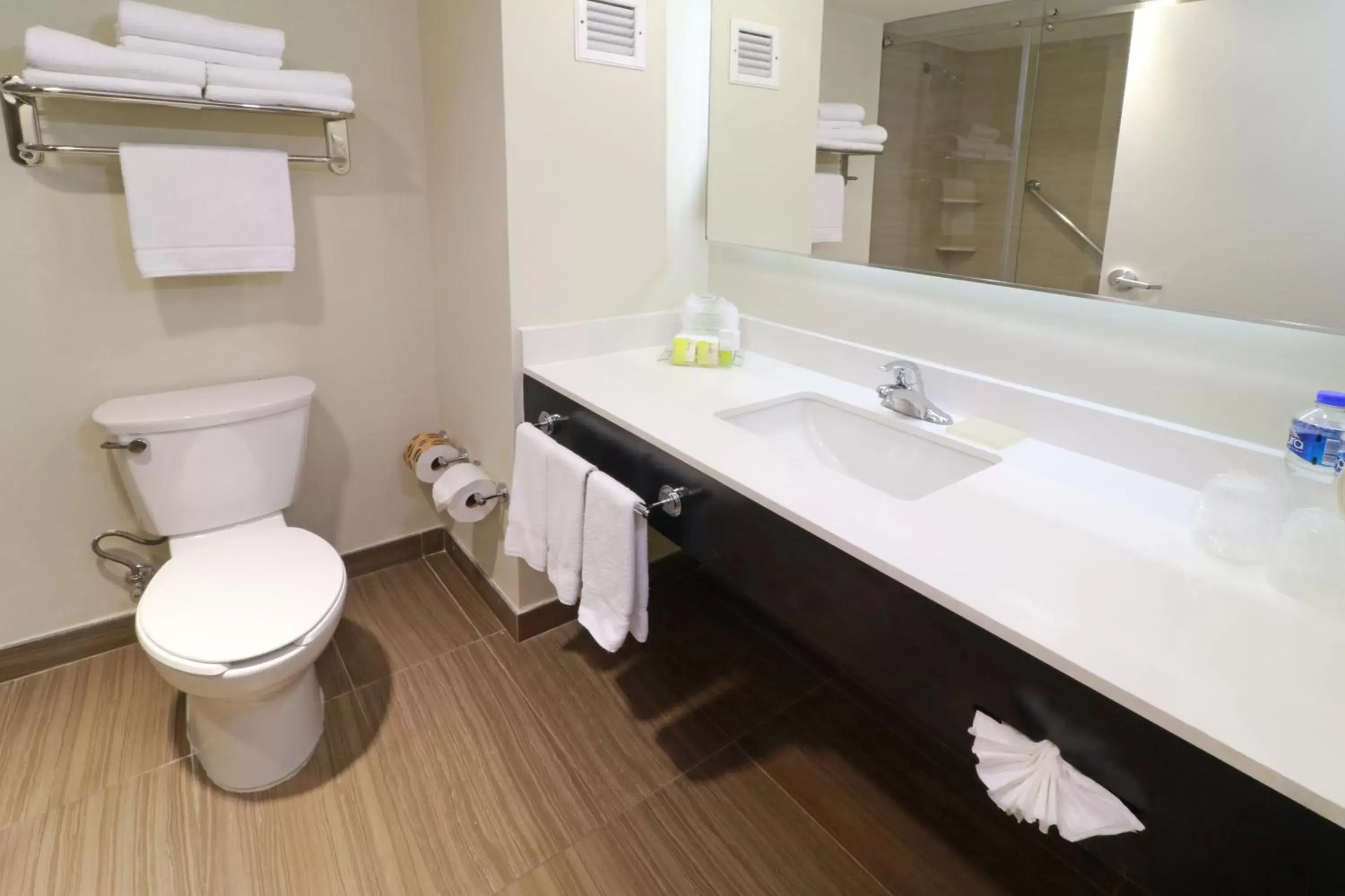 Toilet, Bathroom in Holiday Inn Tampico-Altamira, an IHG Hotel