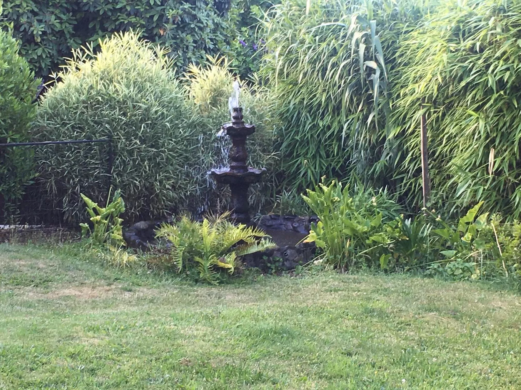 Garden in Hotel Casa Marron