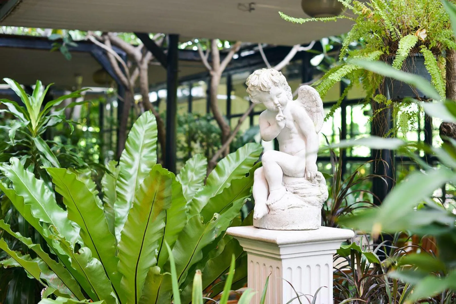 Garden in Grand Howard Hotel Bangkok