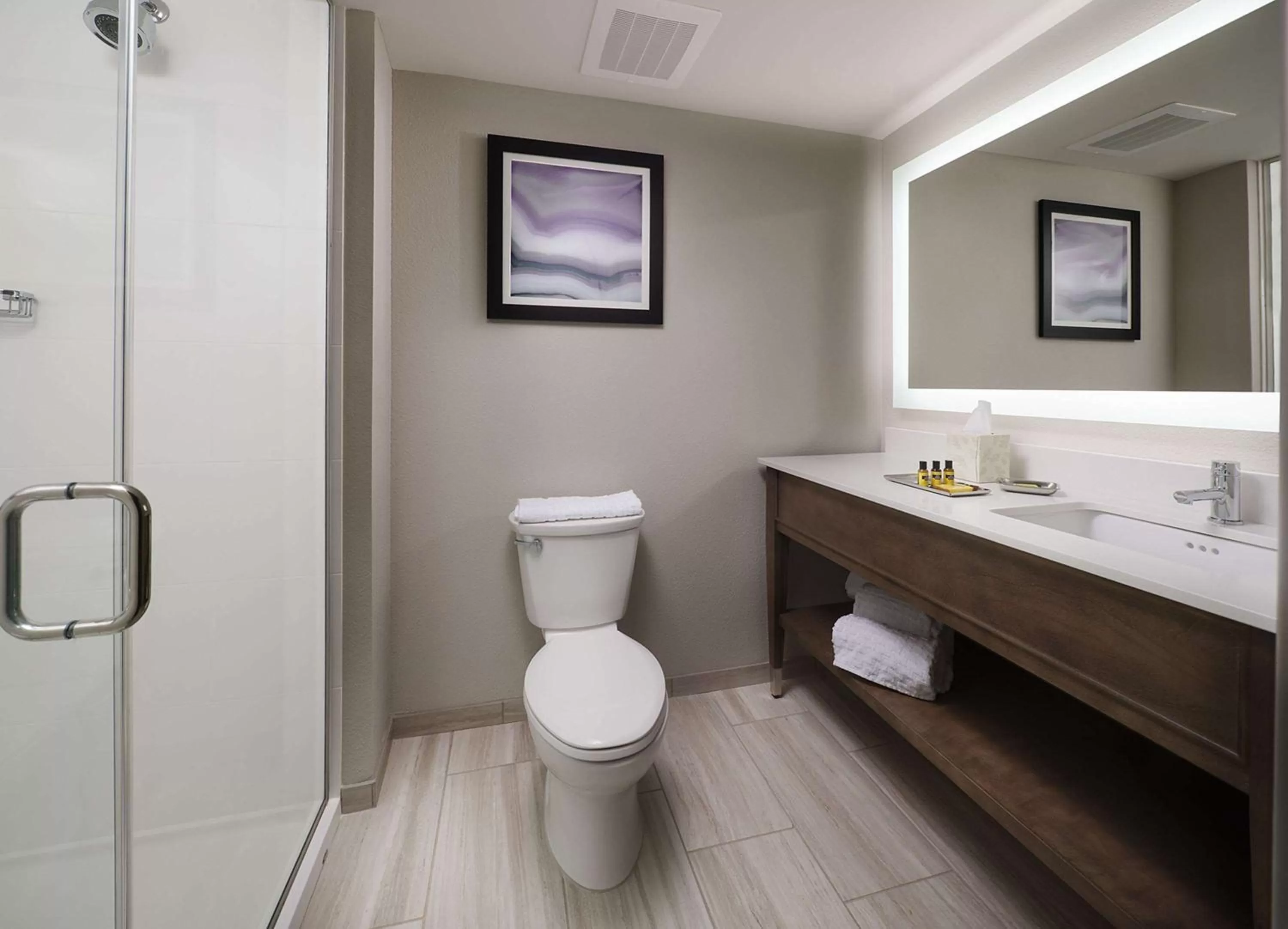 Bathroom in Best Western Plus Desoto