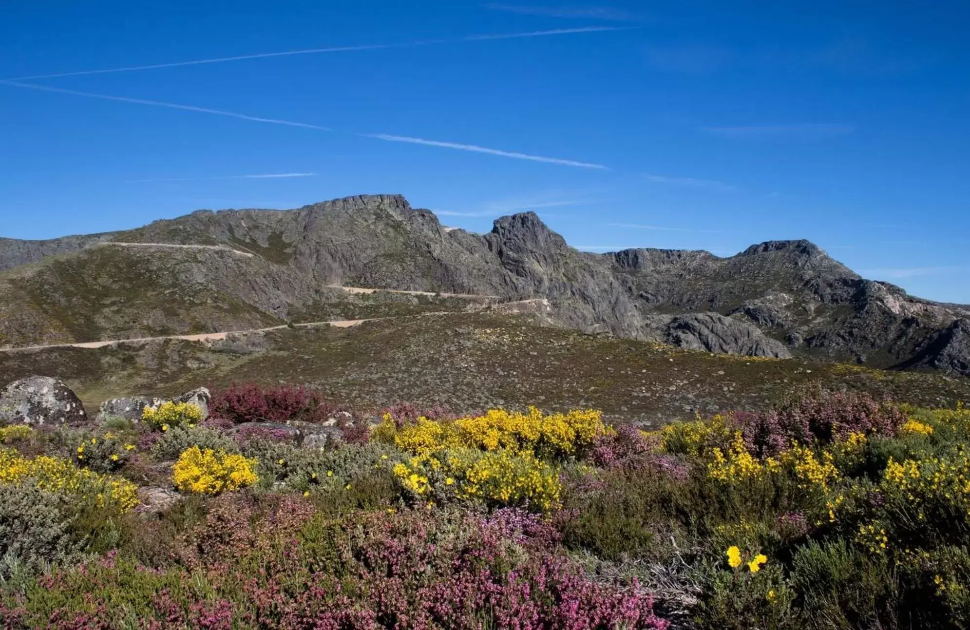 Natural Landscape in Hotel Berne