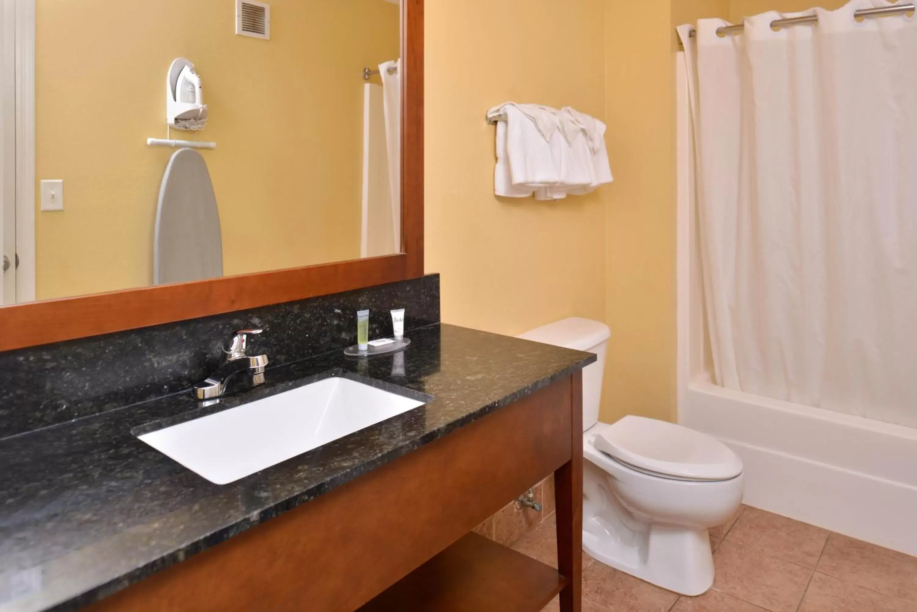 Bathroom in Douglas Inn & Suites