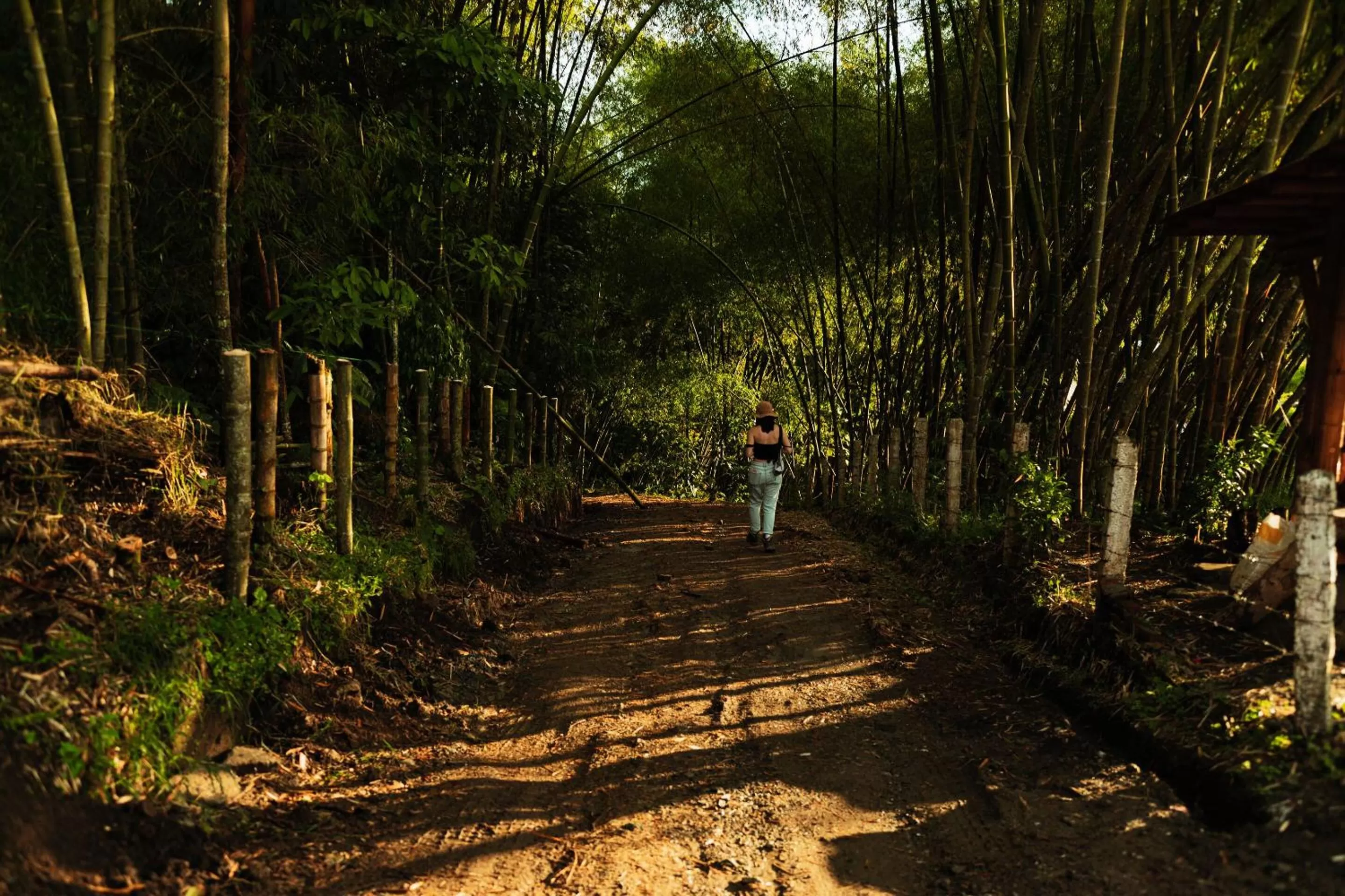 Activities in Los Otobos finca hotel 1