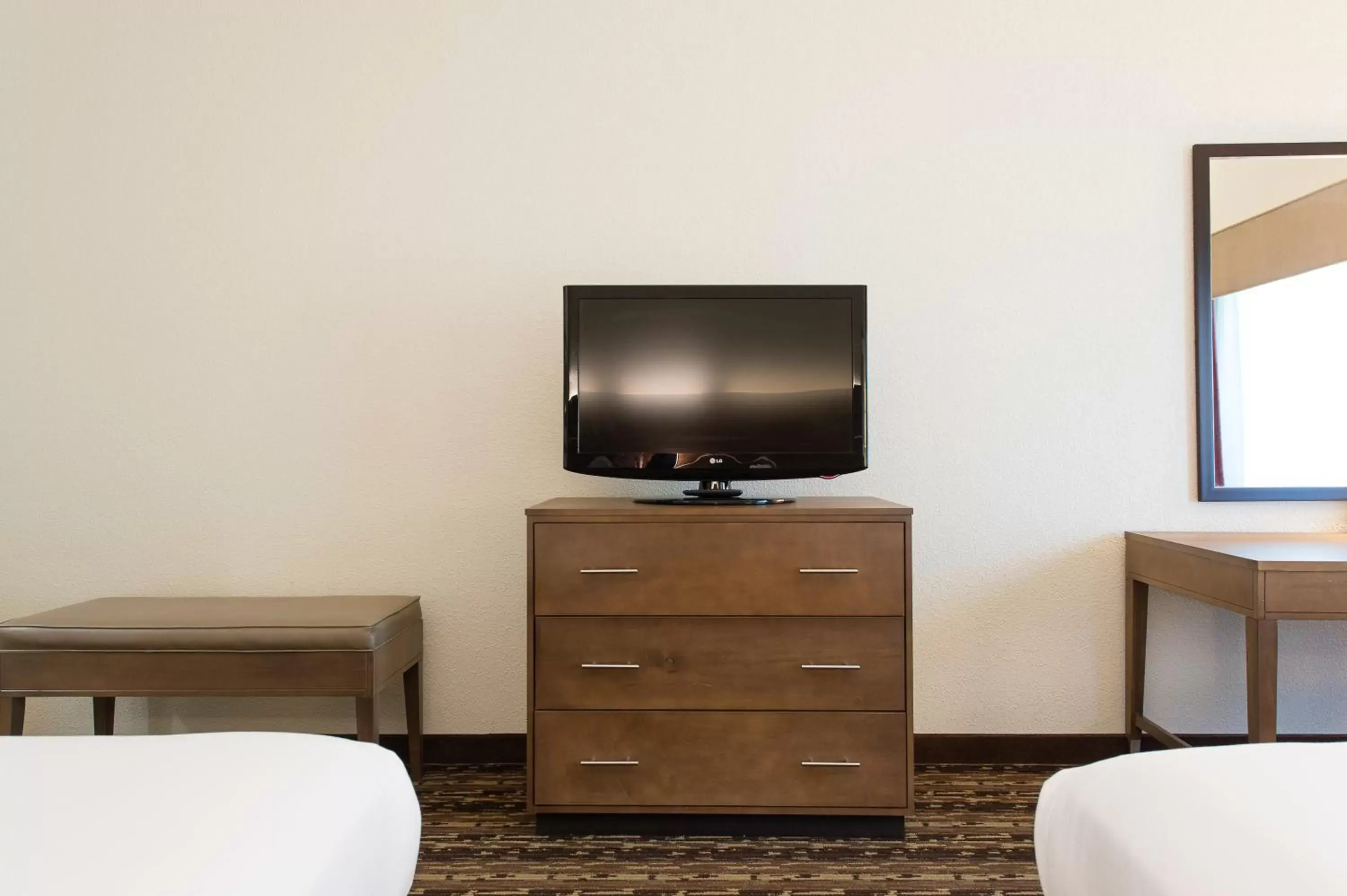 Seating area, TV/Entertainment Center in Holiday Inn Express & Suites Walterboro, an IHG Hotel