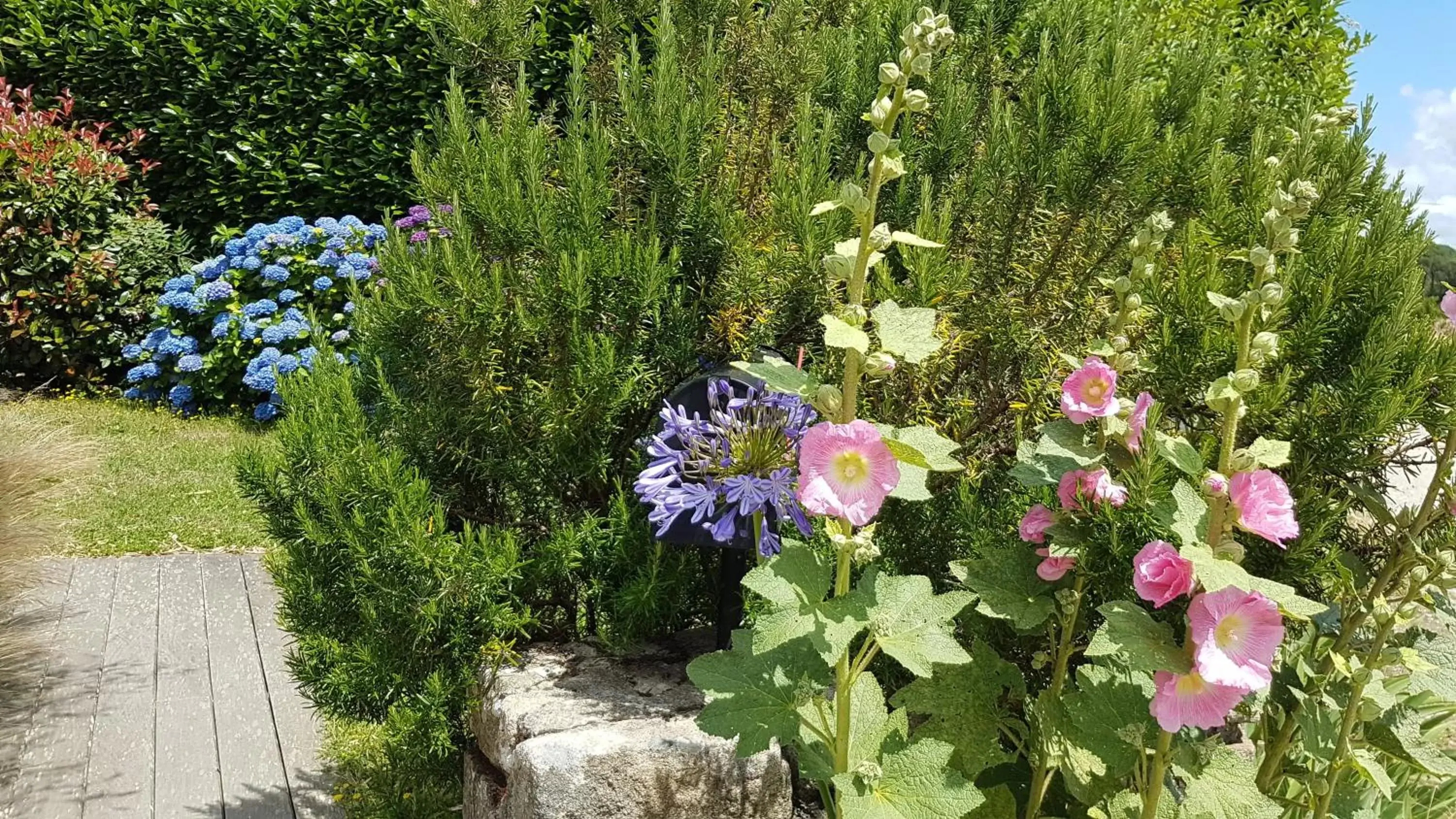 Garden in Les chambres du Keriolet