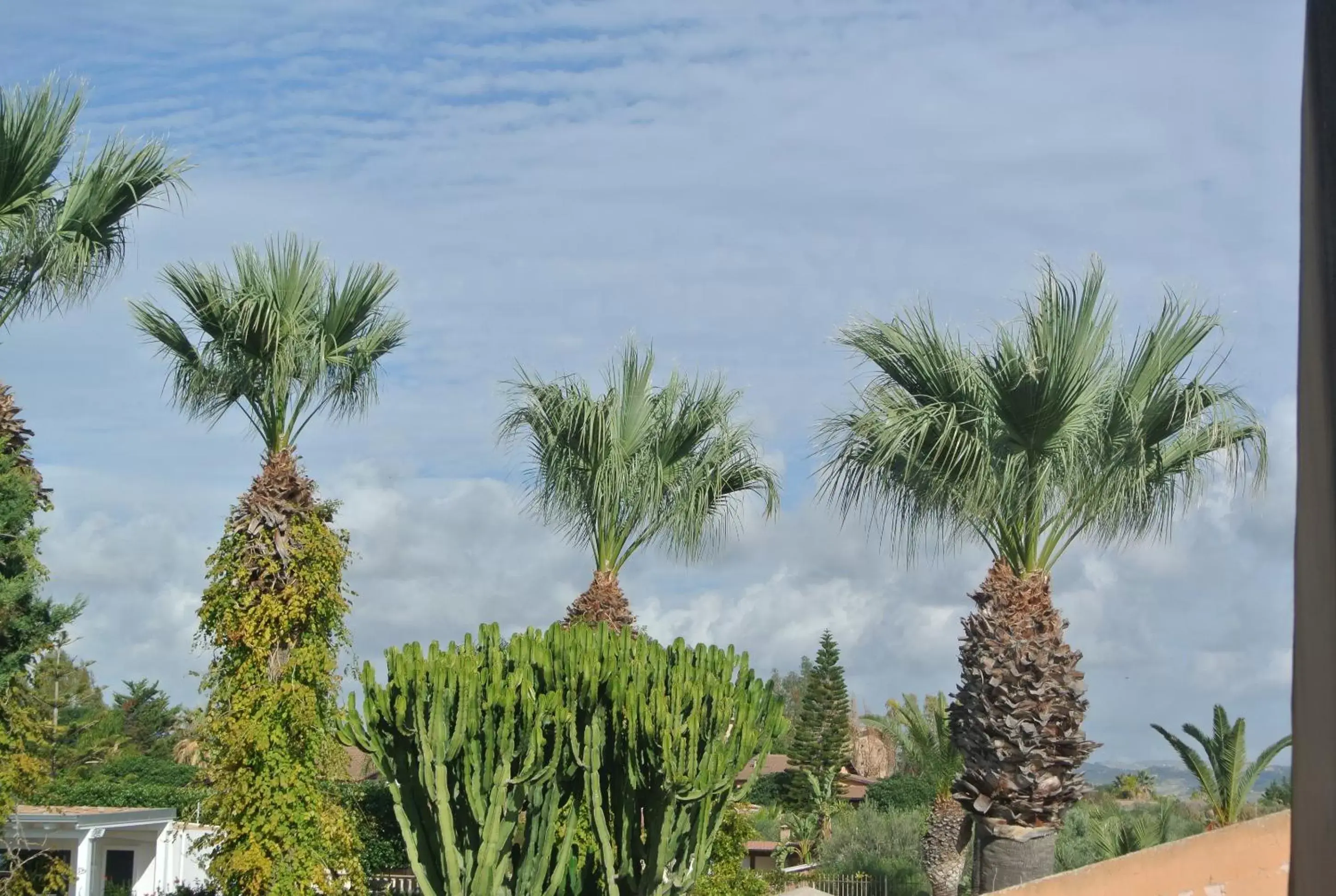 Garden view in Villa Carlotta Resort