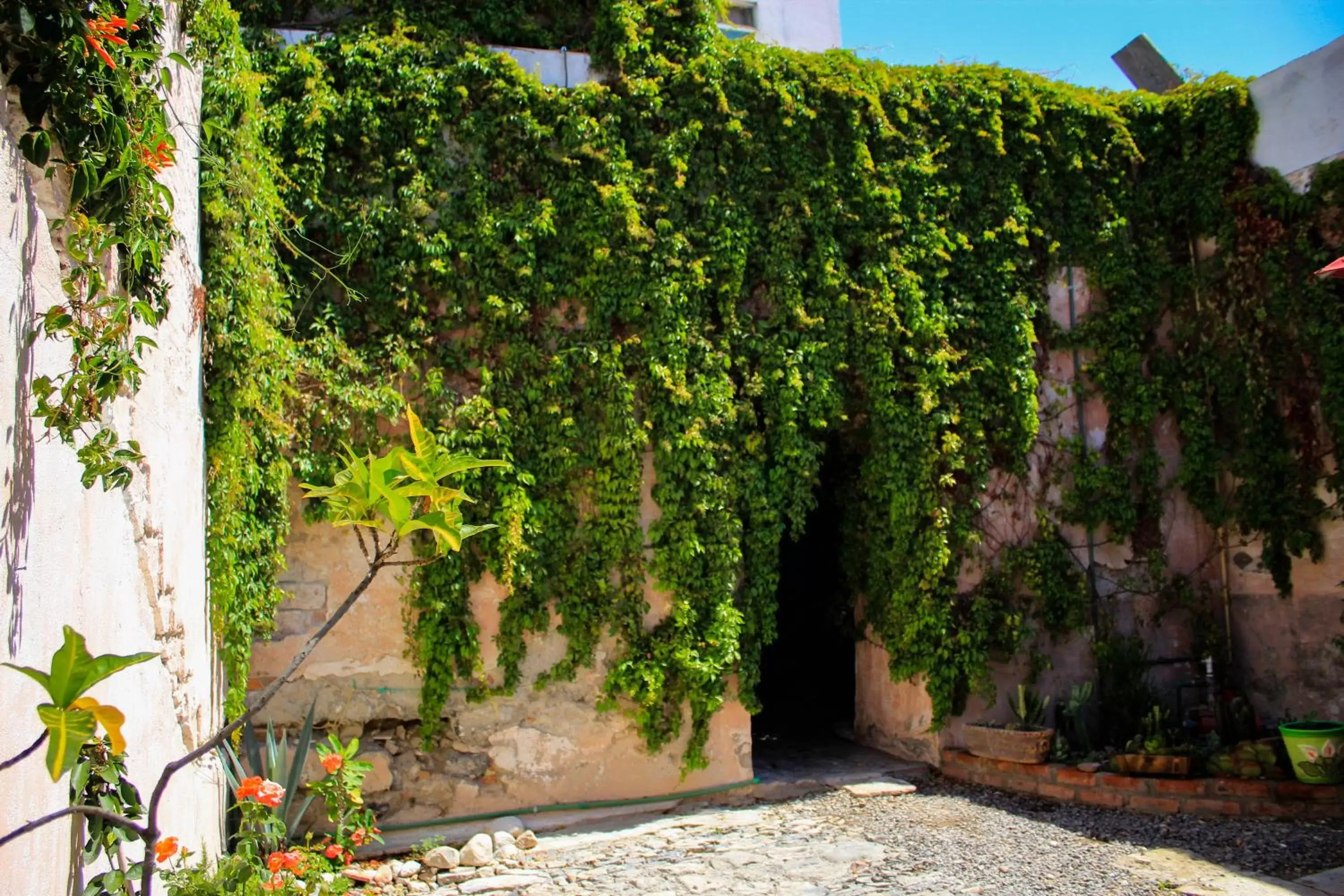 Facade/entrance in Hotel Boutique Don Porfirio