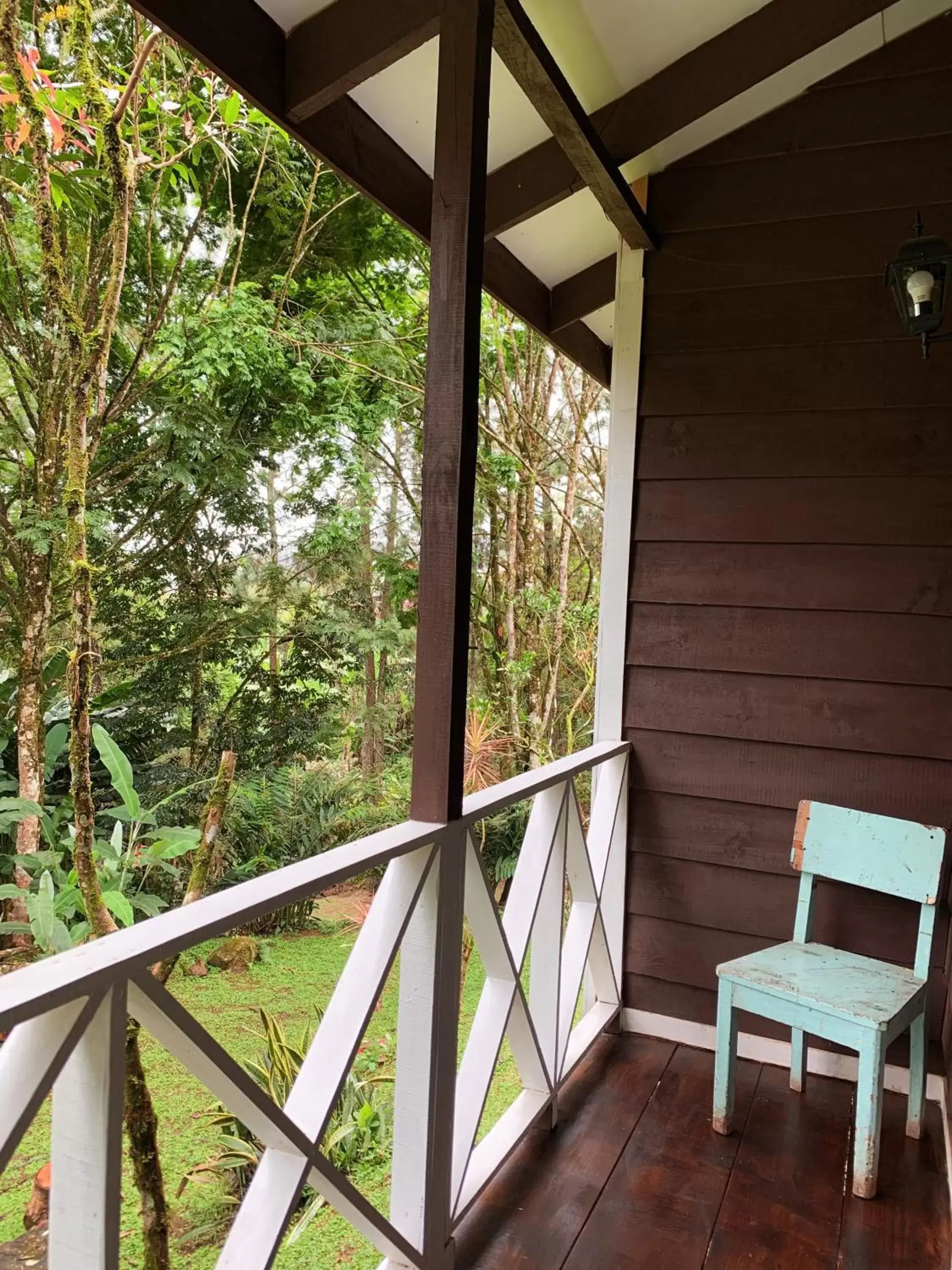 Balcony/Terrace in Hospedaje La Naciente